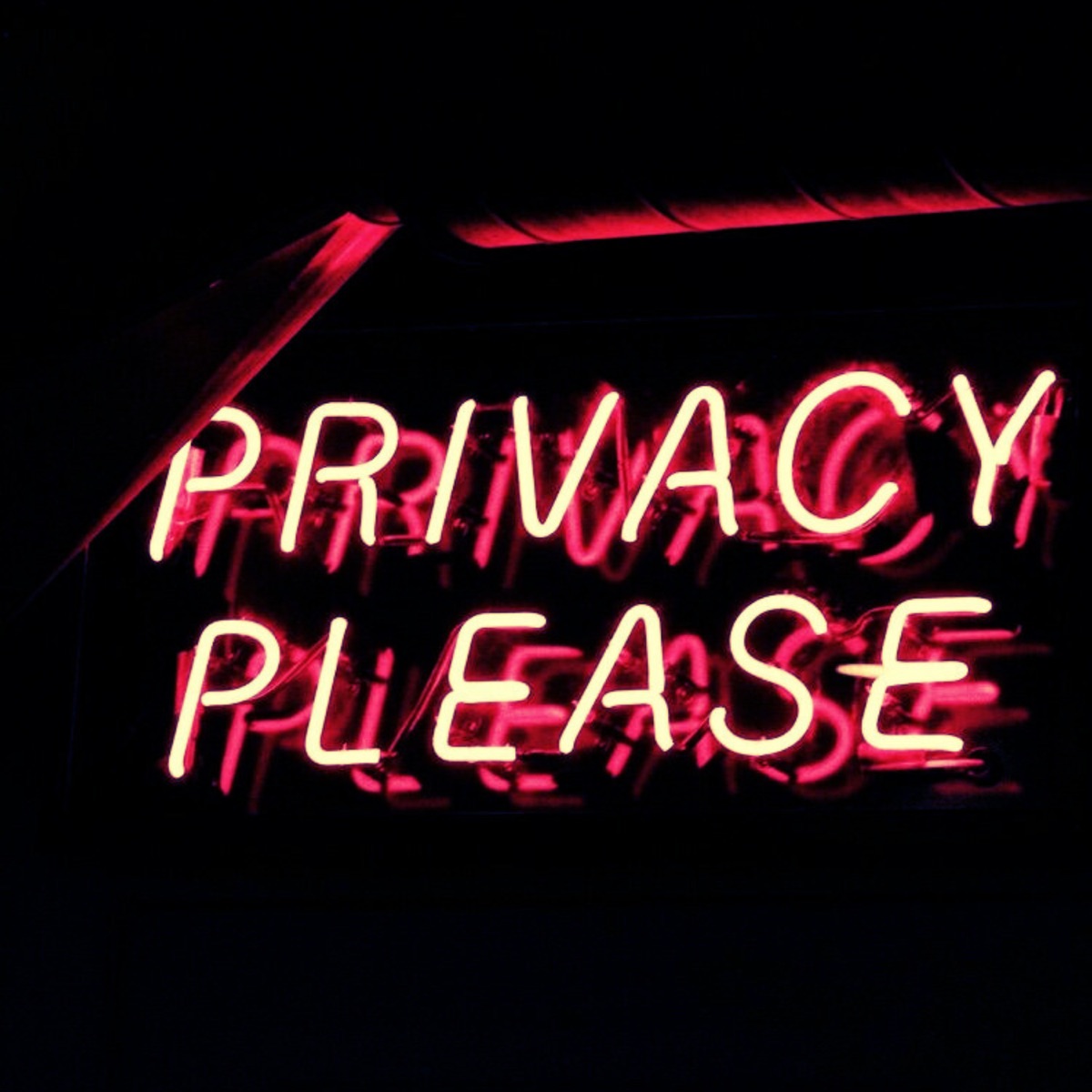 Privacy (feat. Brian Dekkers & T-Drick) - Single by Ataniro album cover