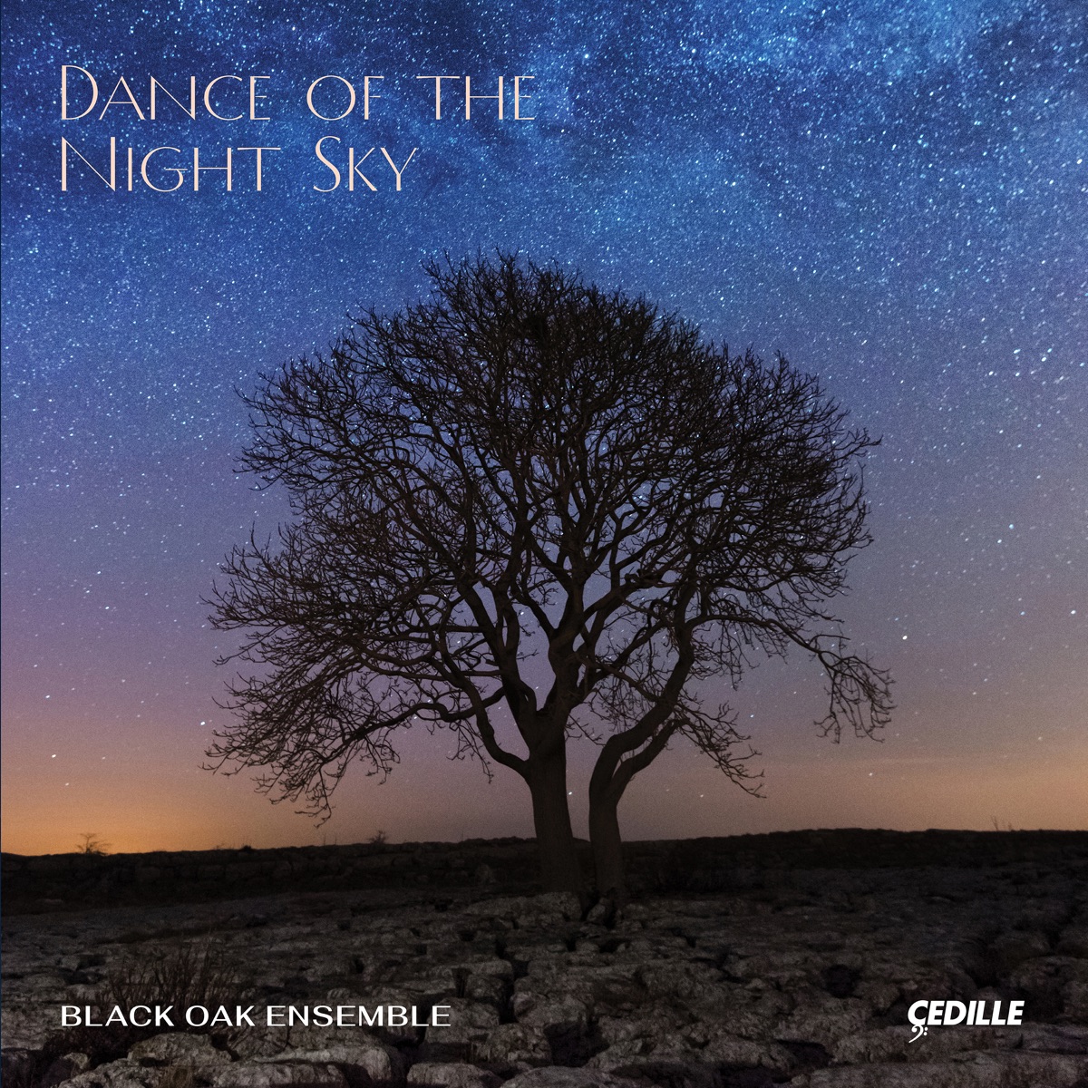 Dance of the Night Sky by Black Oak Ensemble album cover