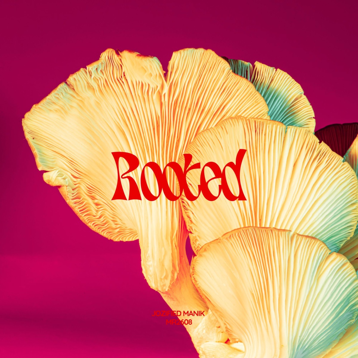 Rooted - Single by Jozified ManiK album cover