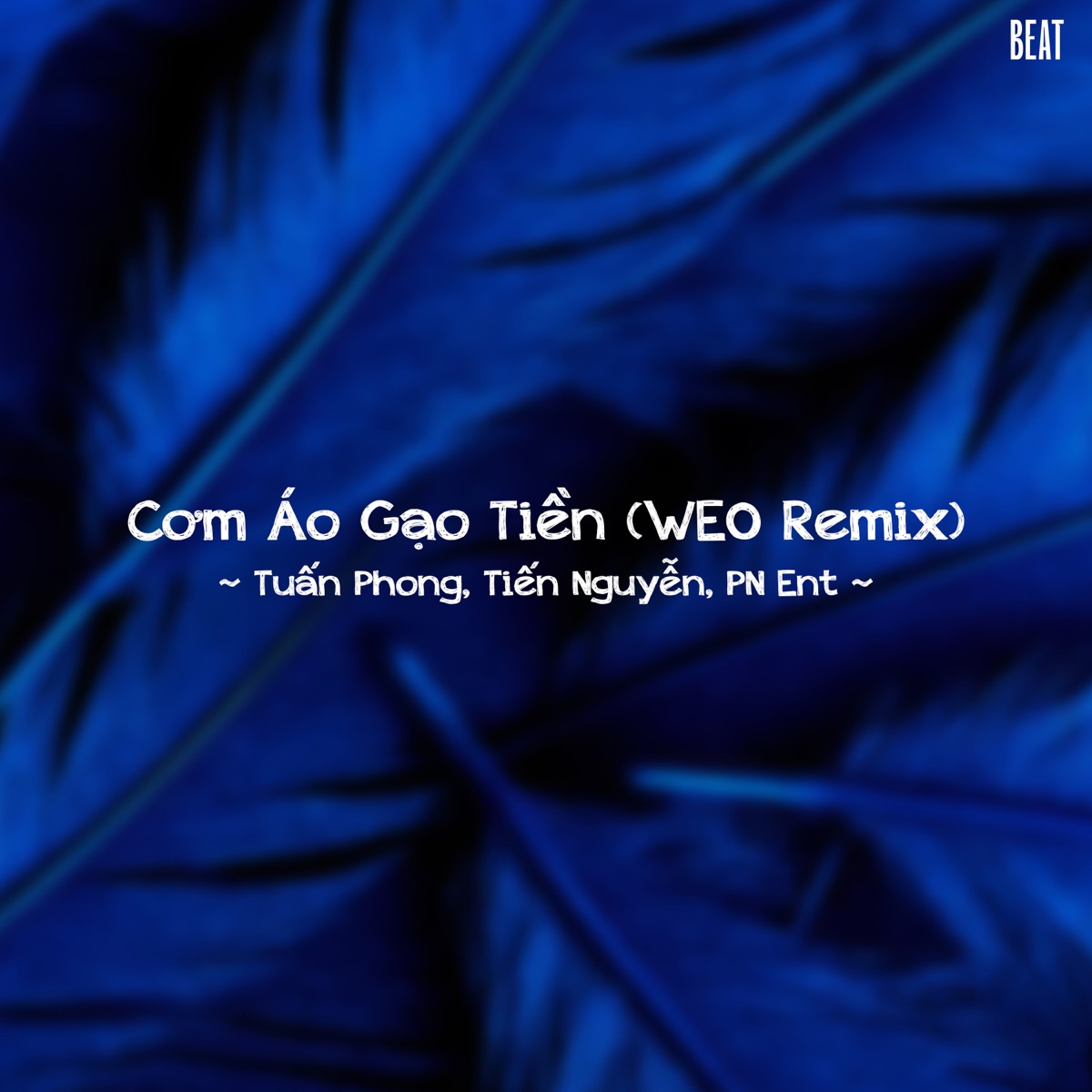 Cơm Áo Gạo Tiền (Beat WEO Remix) - Single by Tuấn Phong, Tiến Nguyễn & PN Ent album cover