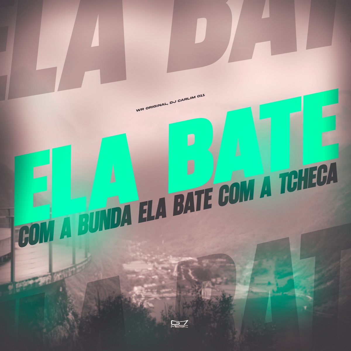 Ela Bate com a Bunda ela Bate com a Tcheca (feat. WR ORIGINAL) - Single by dj carlim 011 album cover