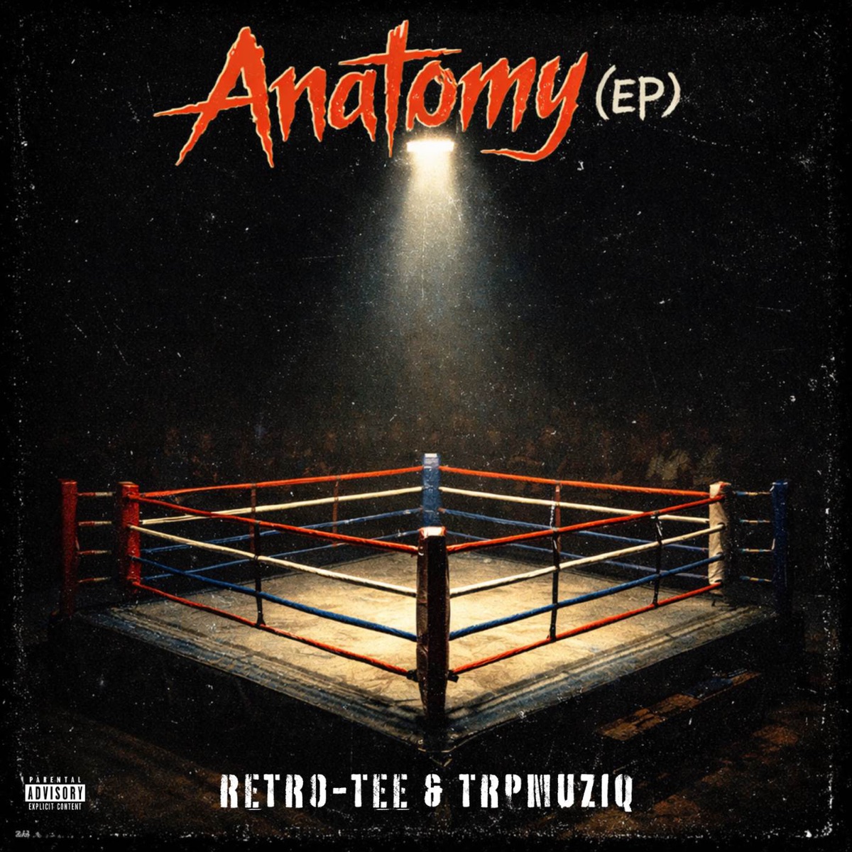 Anatomy - EP by Retro-Tee & TrpmuziQ album cover