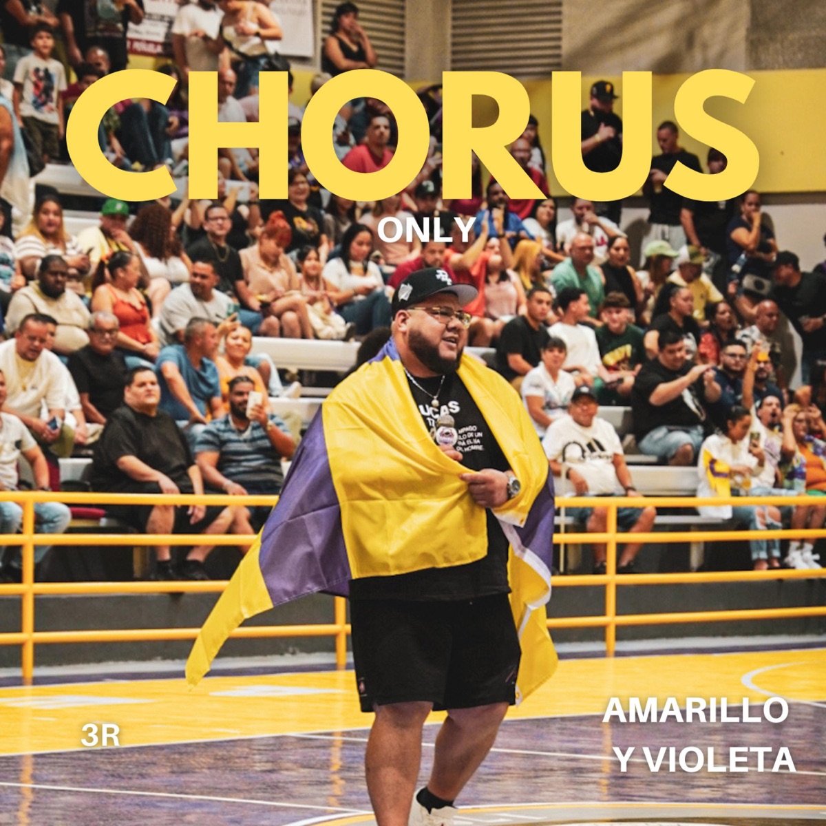 Amarillo y Violeta (Chorus Only) - Single by 3R El Hijo Del Rey album cover