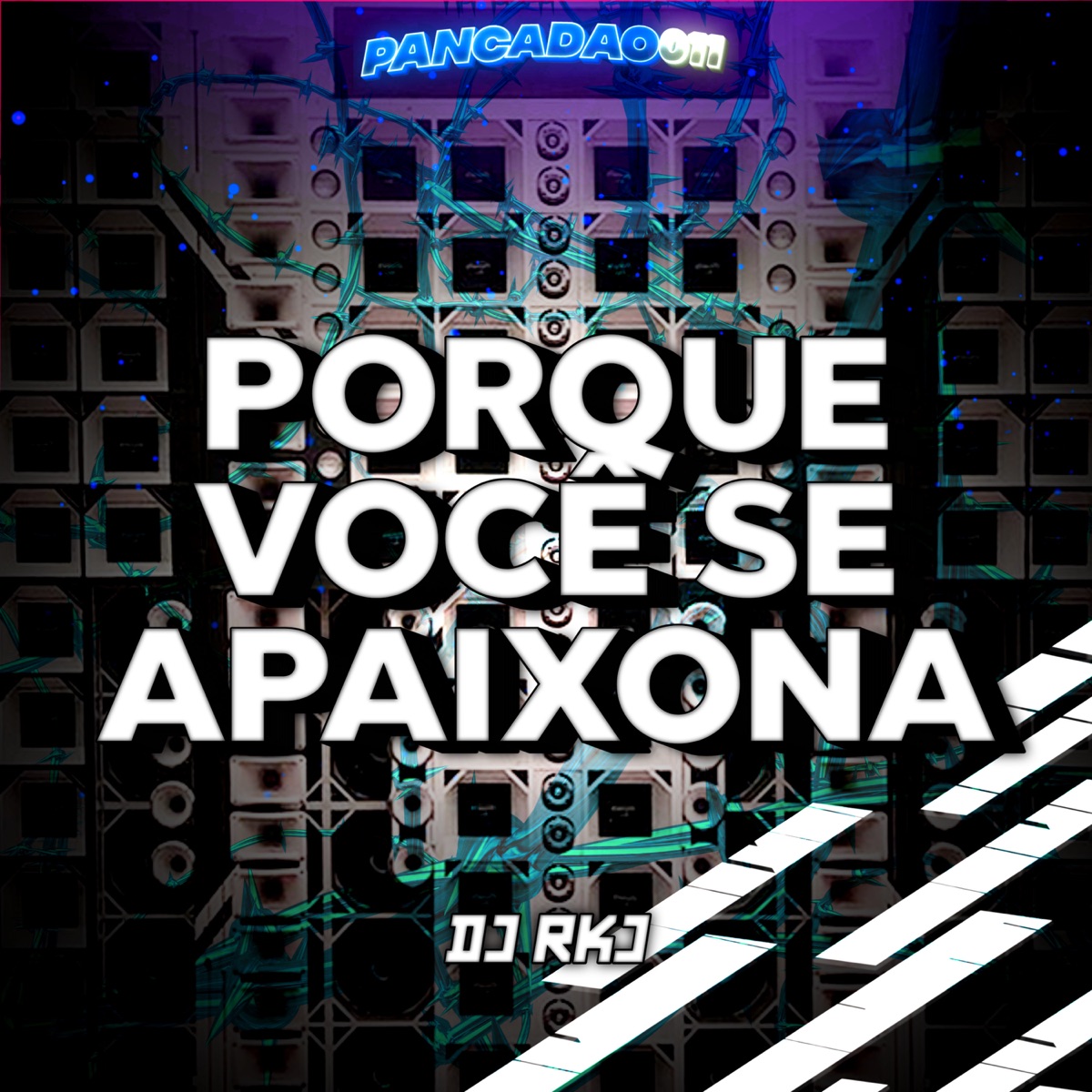 PORQUE VOCÊ SE APAIXONA - Single by DJ RKJ & Pancadão 011 album cover
