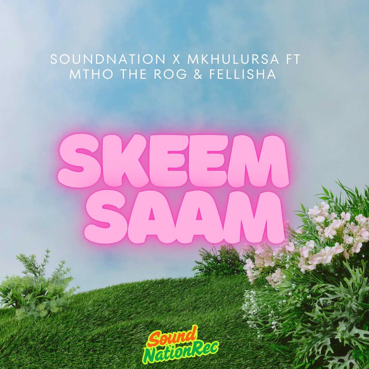 Skeem Saam (feat. Fellisha & Mtho the R.O.G) - Single by SoundNation & MkhuluRSA album cover