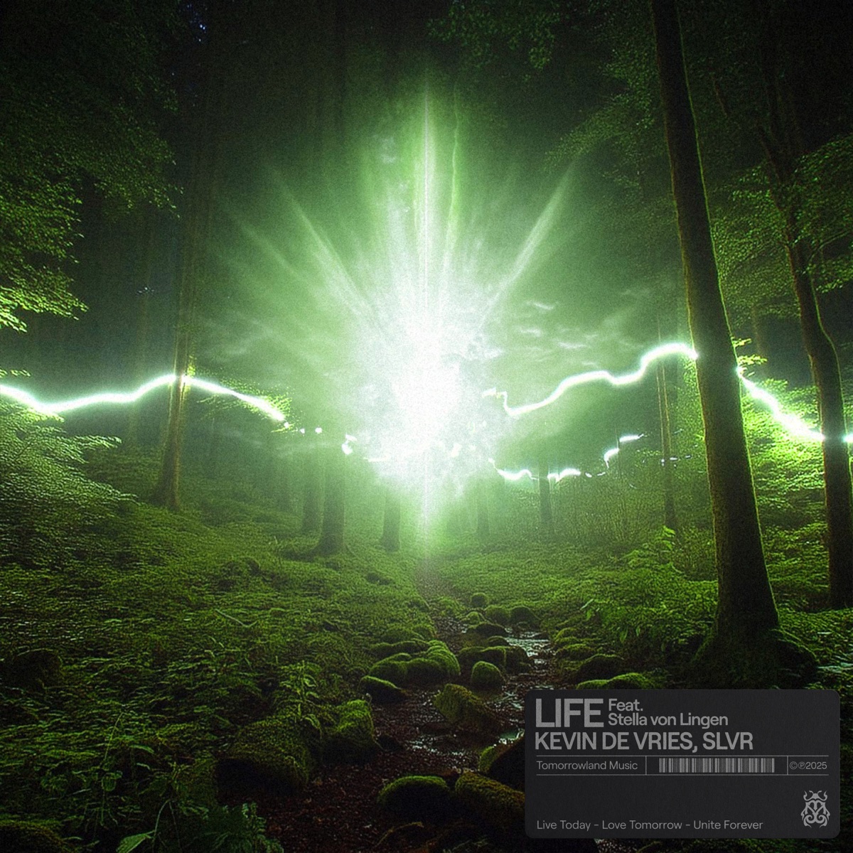Life - Single by Kevin de Vries, SLVR & Stella von Lingen album cover