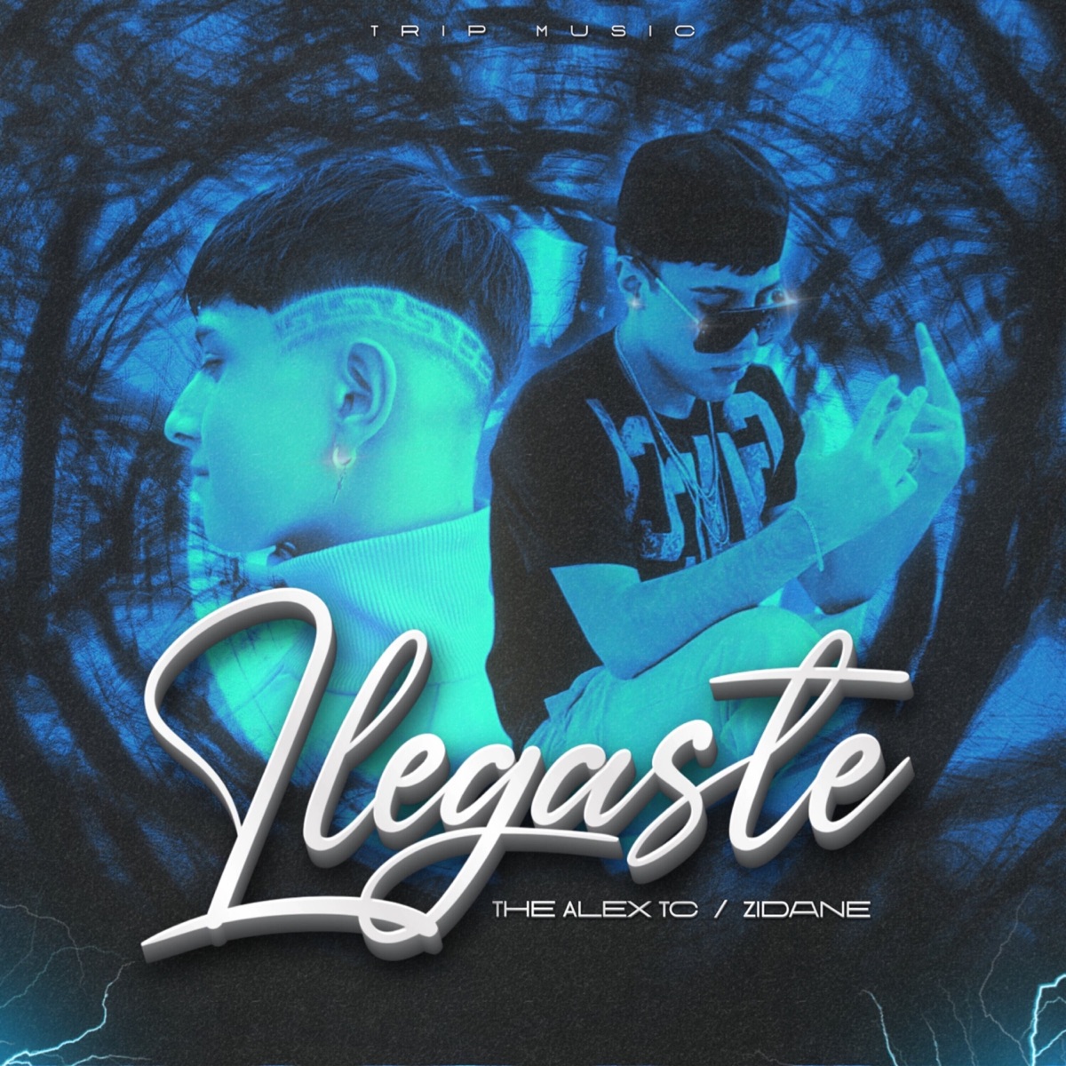 Llegaste (feat. Zidane) - Single by The Alex TC album cover