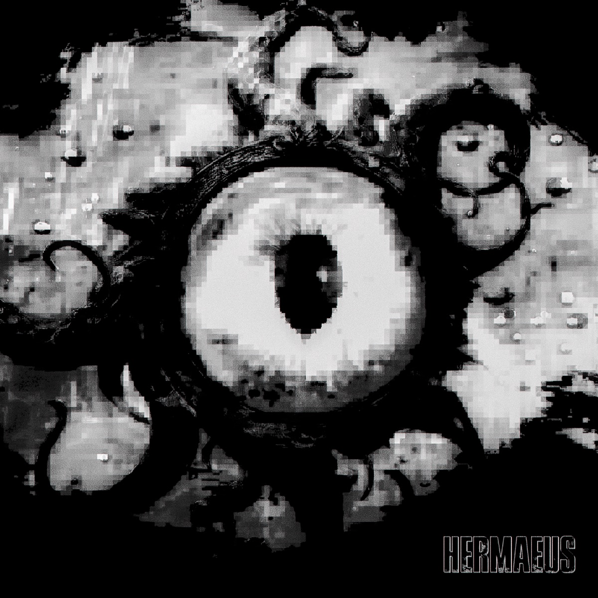 HERMAEUS - EP by MVRTX & DJ PIZDARVAN album cover