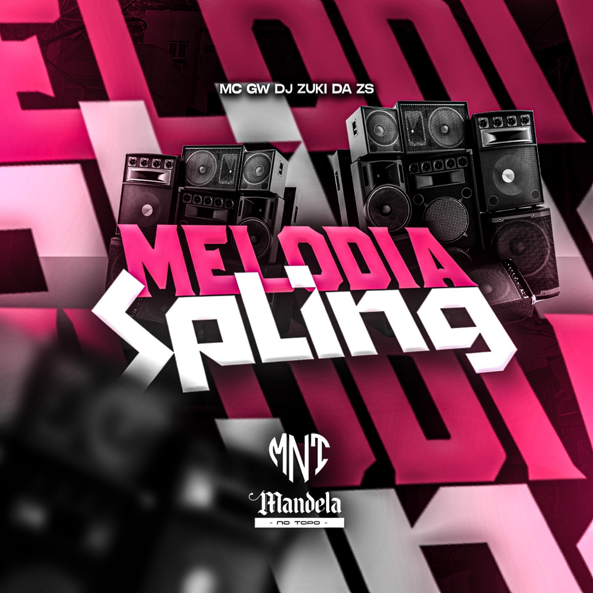Melodia Spling (feat. MC GW) - Single by DJ Zuki da ZS album cover