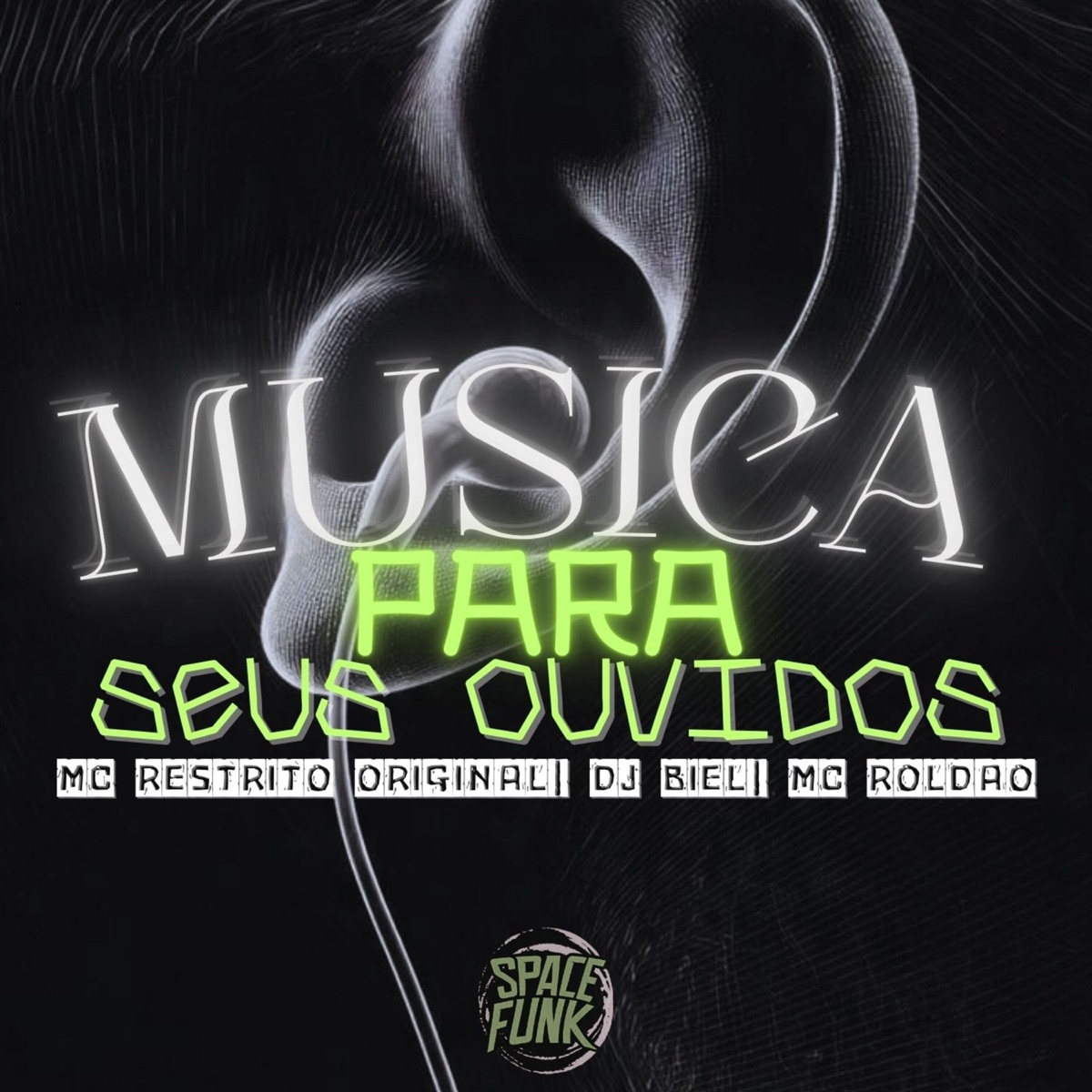 MUSICA PARA SEUS OUVIDOS - Single by DJ Biel, MC RESTRITO ORIGINAL & Mc Roldão album cover