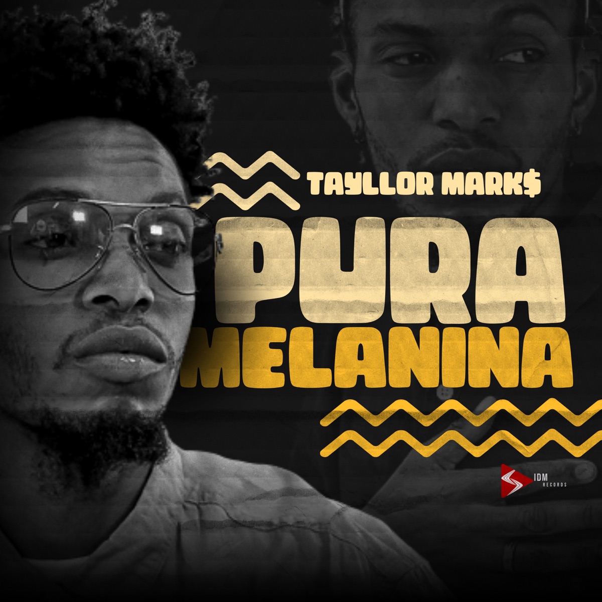 Pura Melanina - Single by Tayllor Mark$ album cover