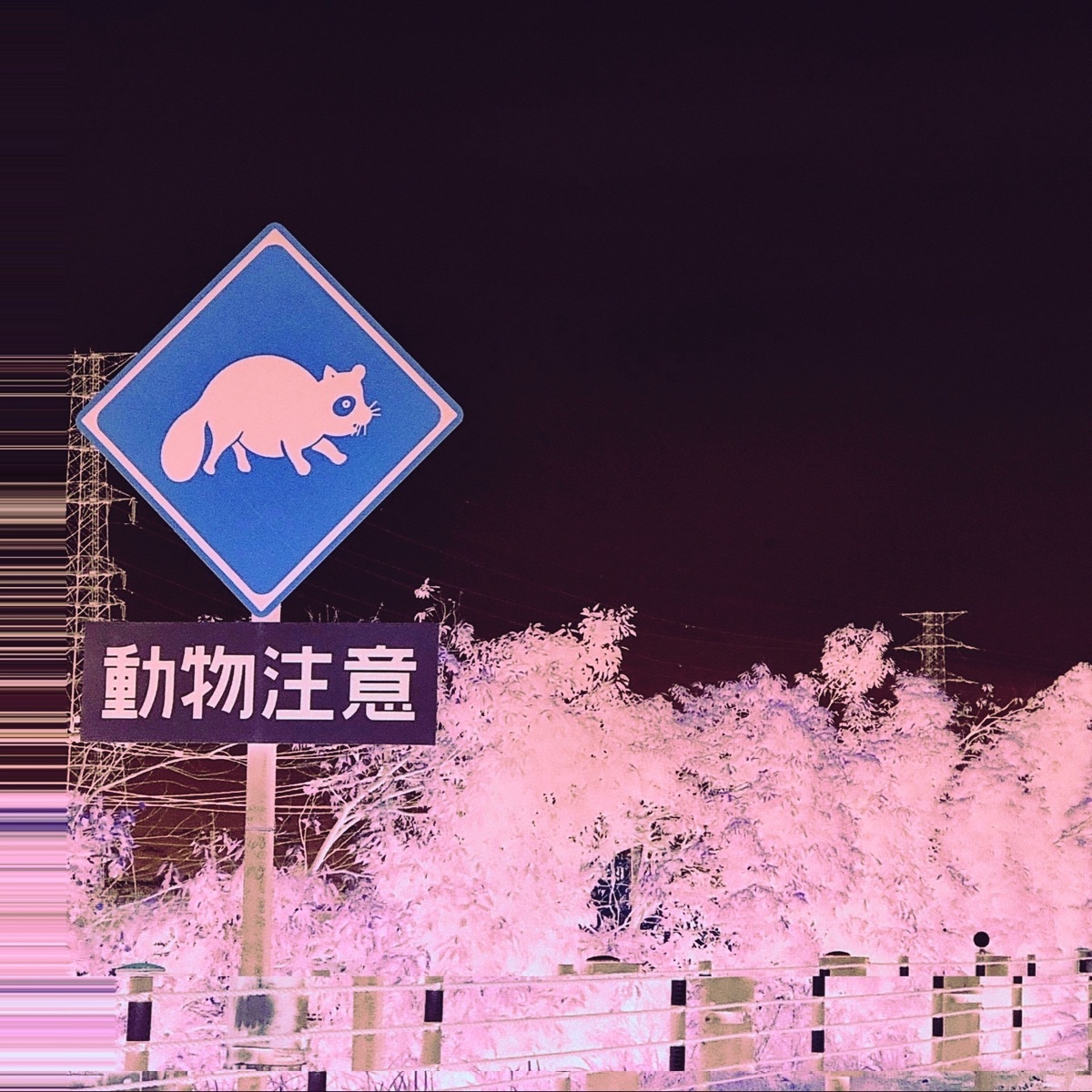Themes from the Undercurrent by Yorii album cover