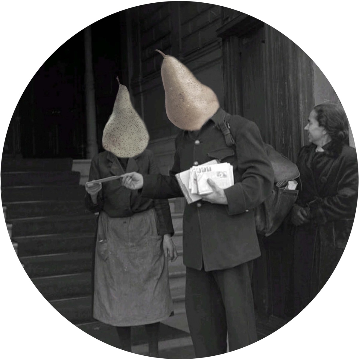 Shake That Ass - Single by Diego Sosa & Groover (ARG) album cover