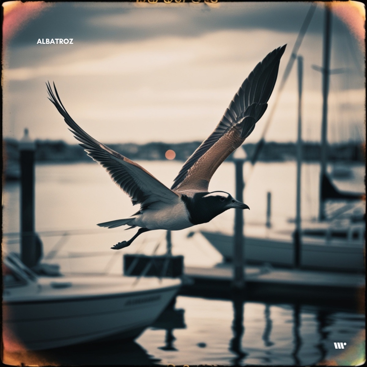 Albatroz (2024 Remastered) - Single by XRS, DJ Marnel & DJ Will album cover