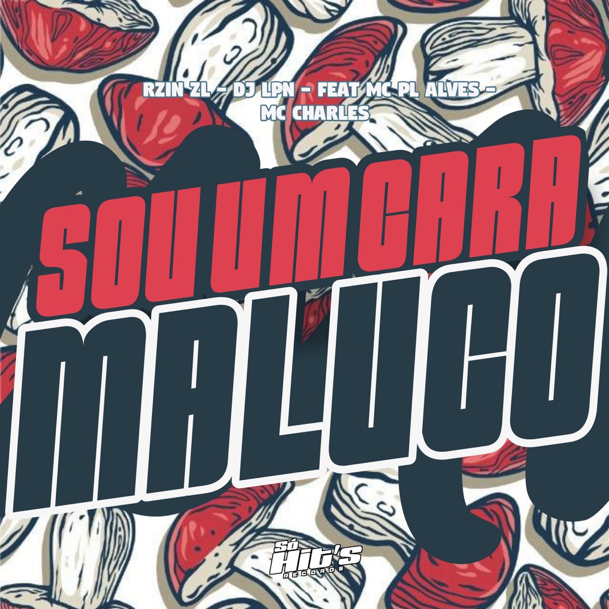 Sou um Cara Maluco (feat. mc pl alves & Mc Charles) - Single by RZIN ZL & DJ LPN album cover