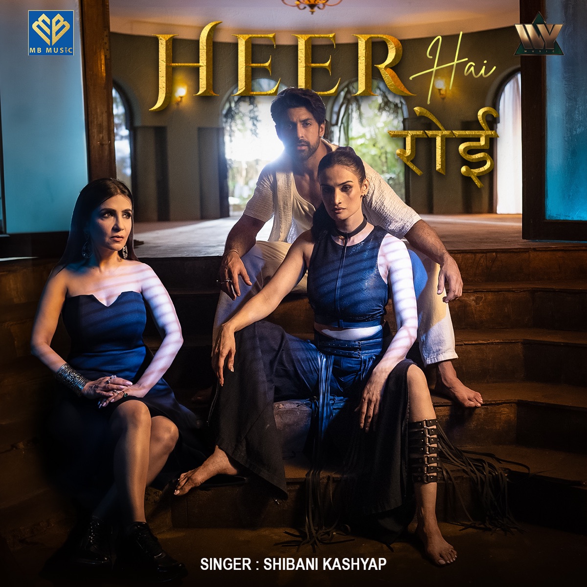 Heer Hai Royi - Single by Shibani Kashyap & Meet Bros album cover