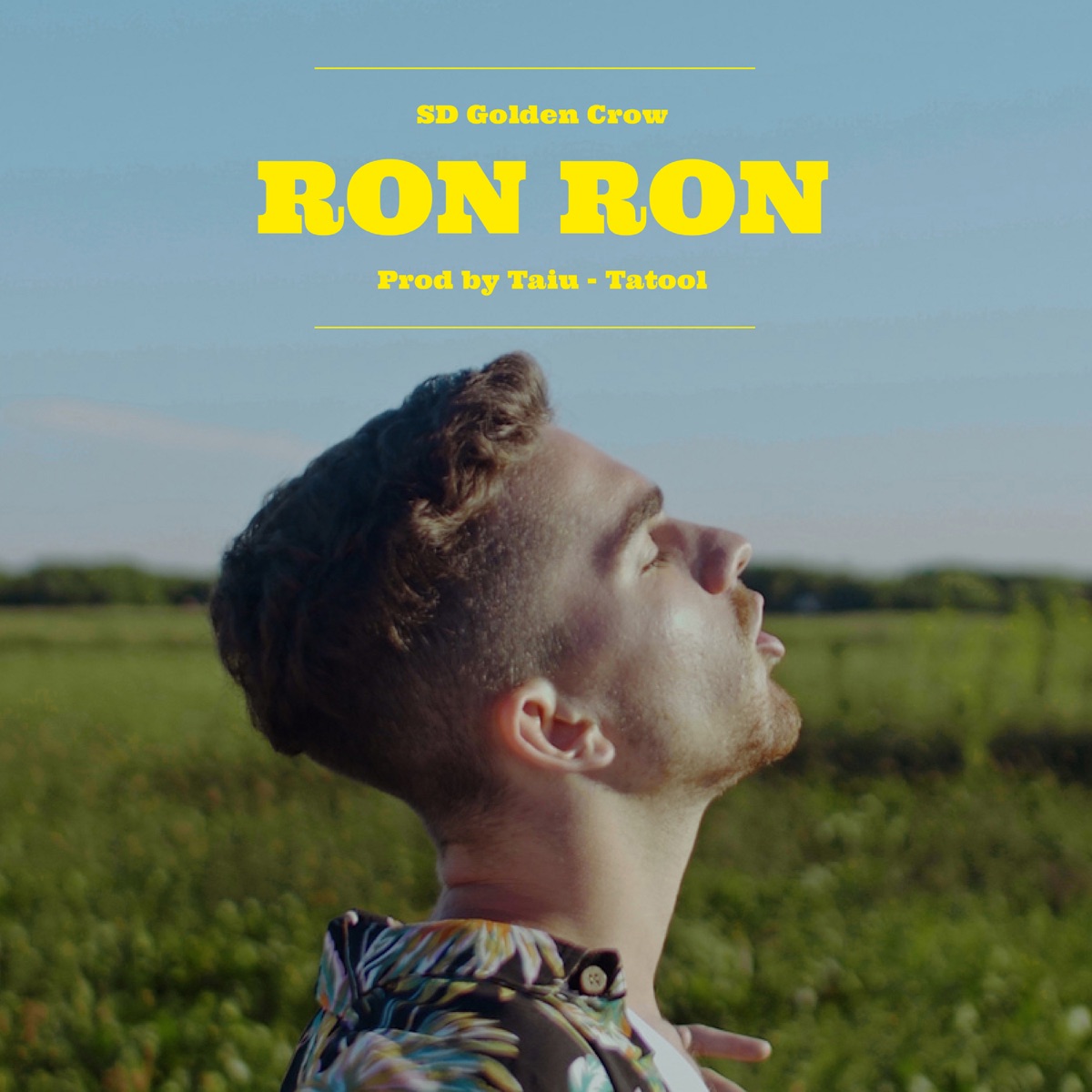 Ron Ron - Single by SD Golden Crow album cover
