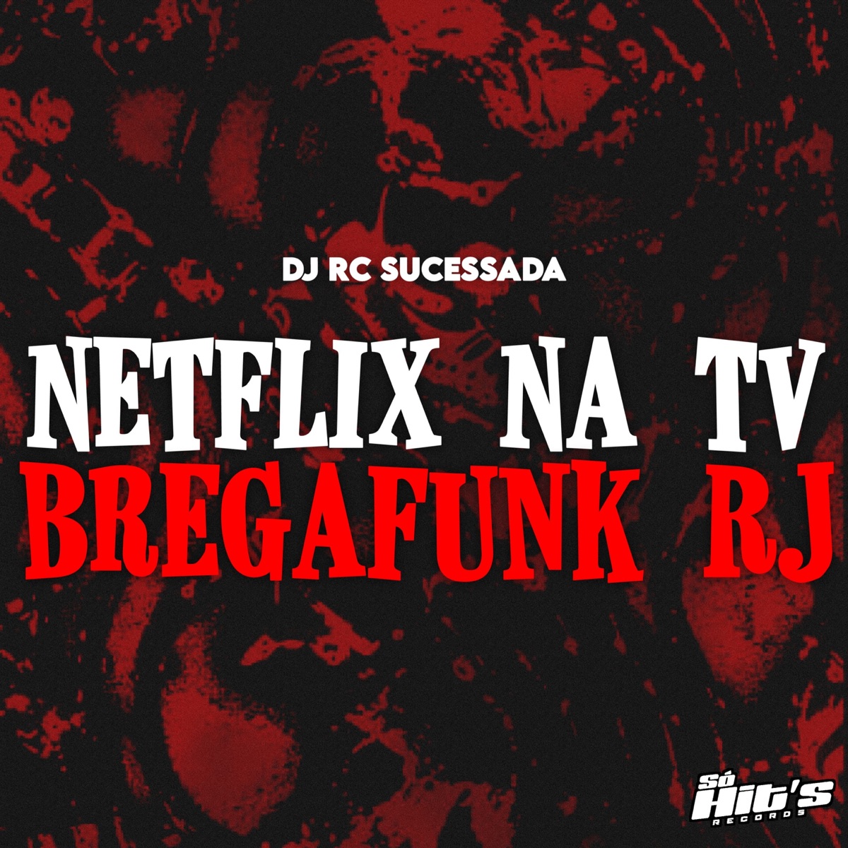Netflix na TV x Brega Funk RJ - Single by DJ RC SUCESSADA & Só Hits Records album cover