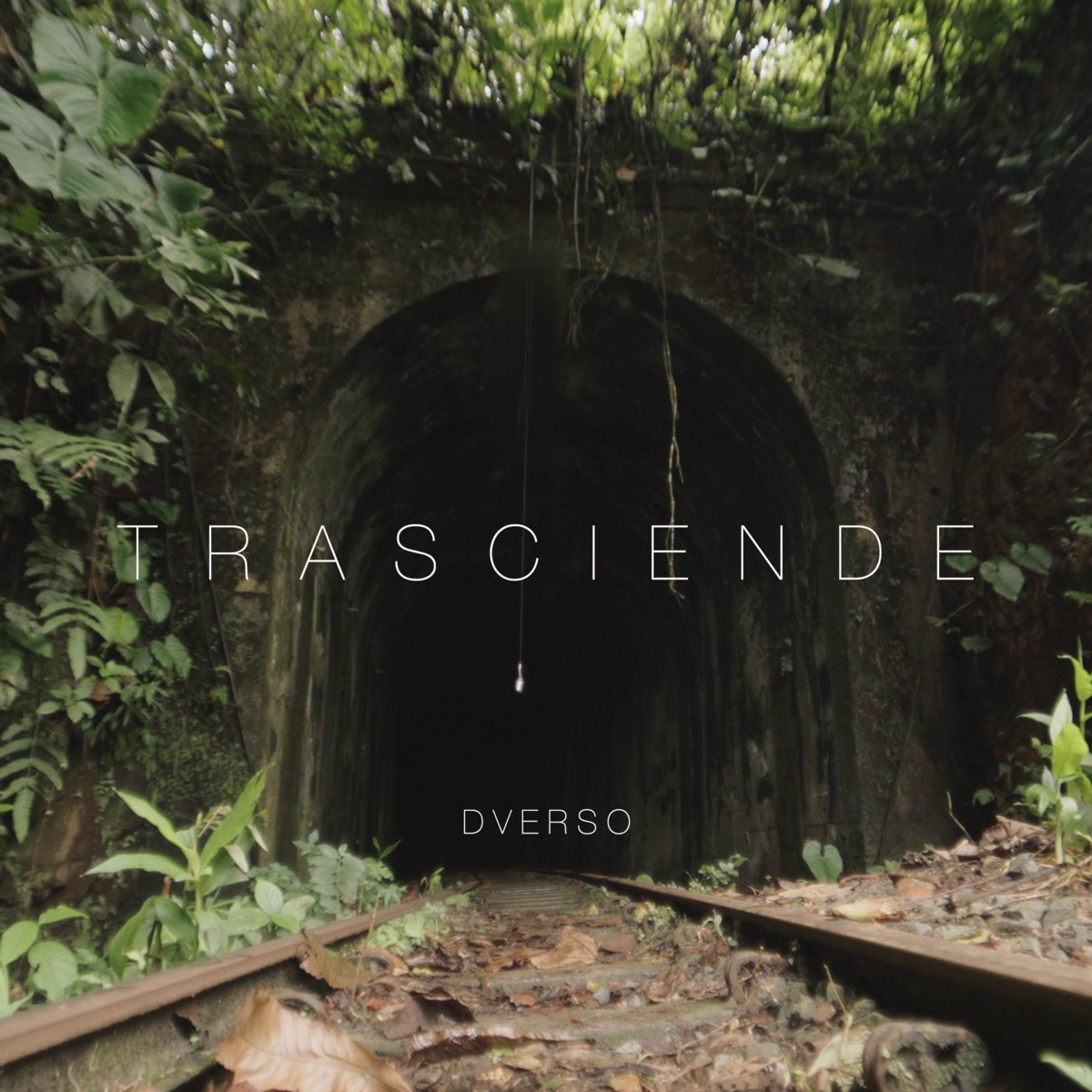 Trasciende - Single by Dverso album cover