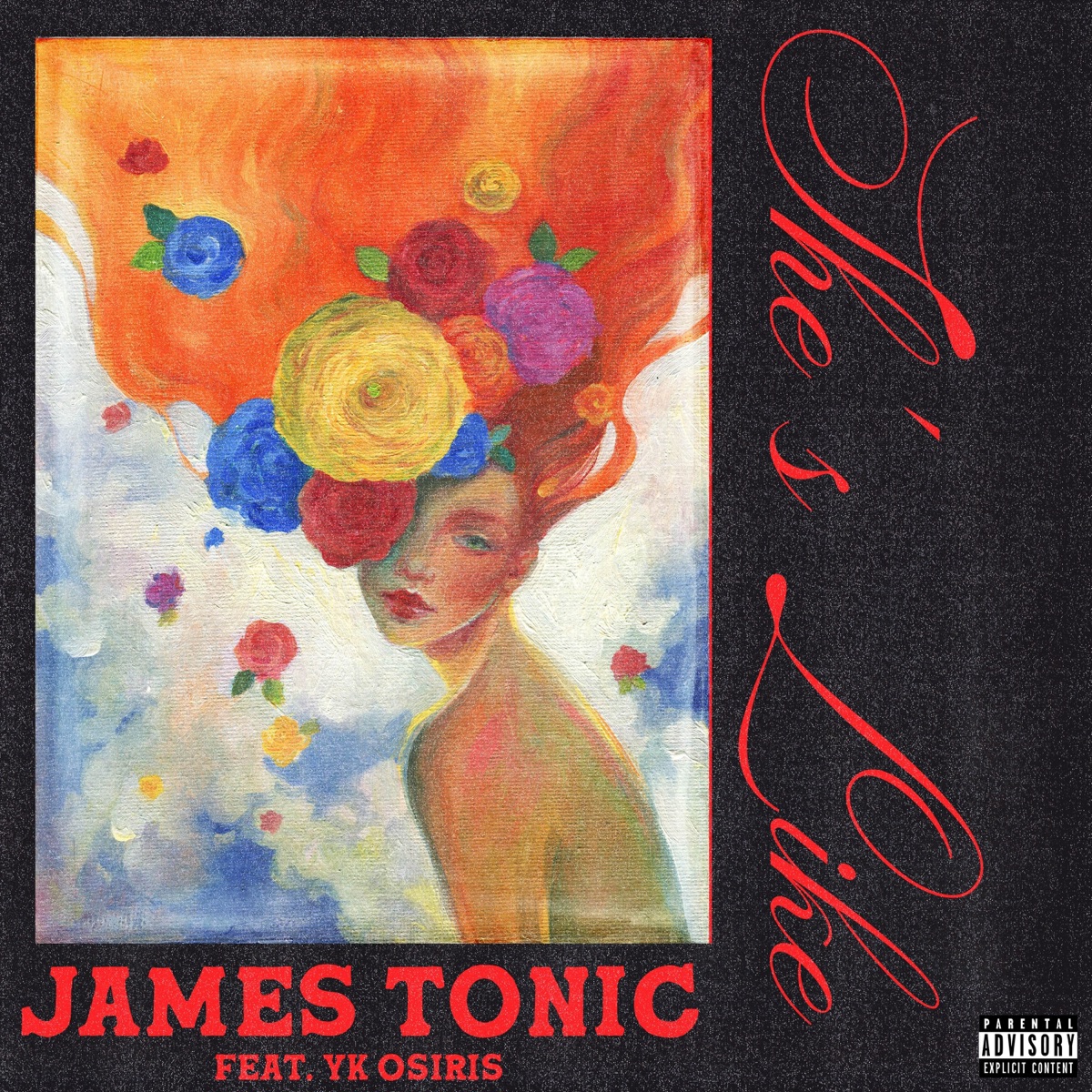 She's Like (feat. YK Osiris) - Single by James Tonic album cover