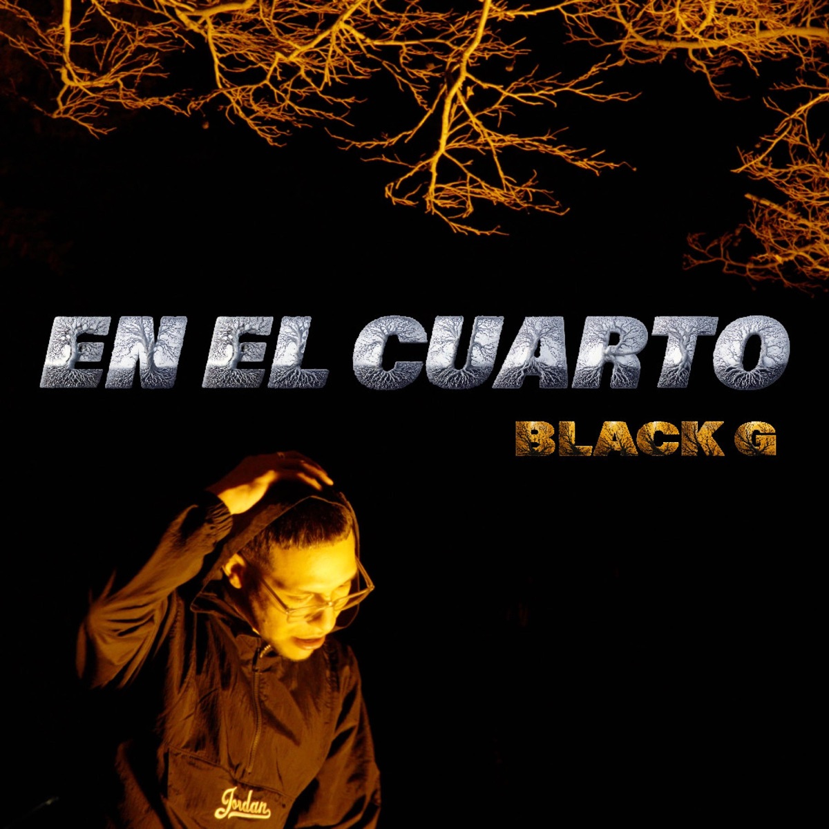 EN EL CUARTO - Single by Darkmoon Vision album cover