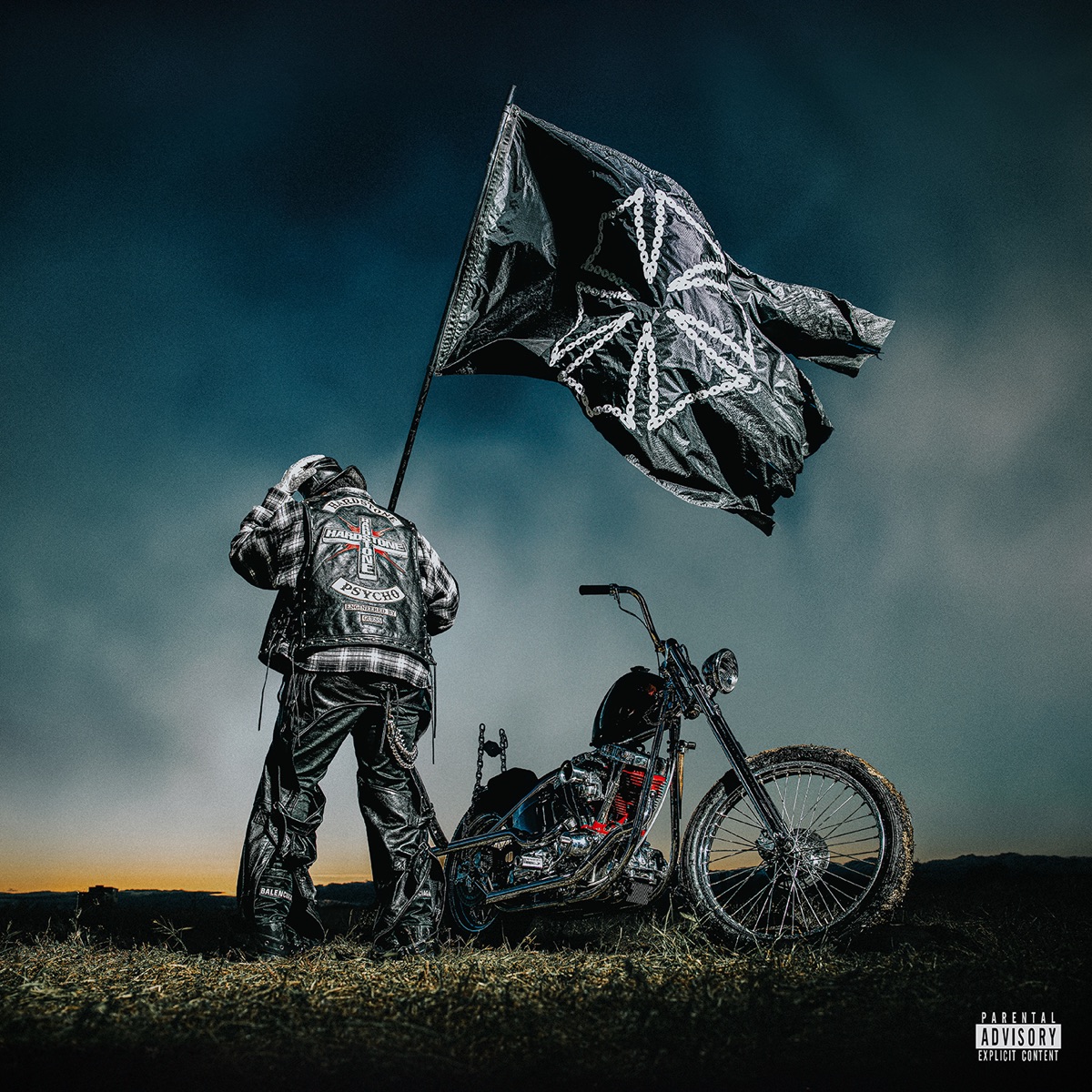 HARDSTONE PSYCHO by Don Toliver album cover artwork