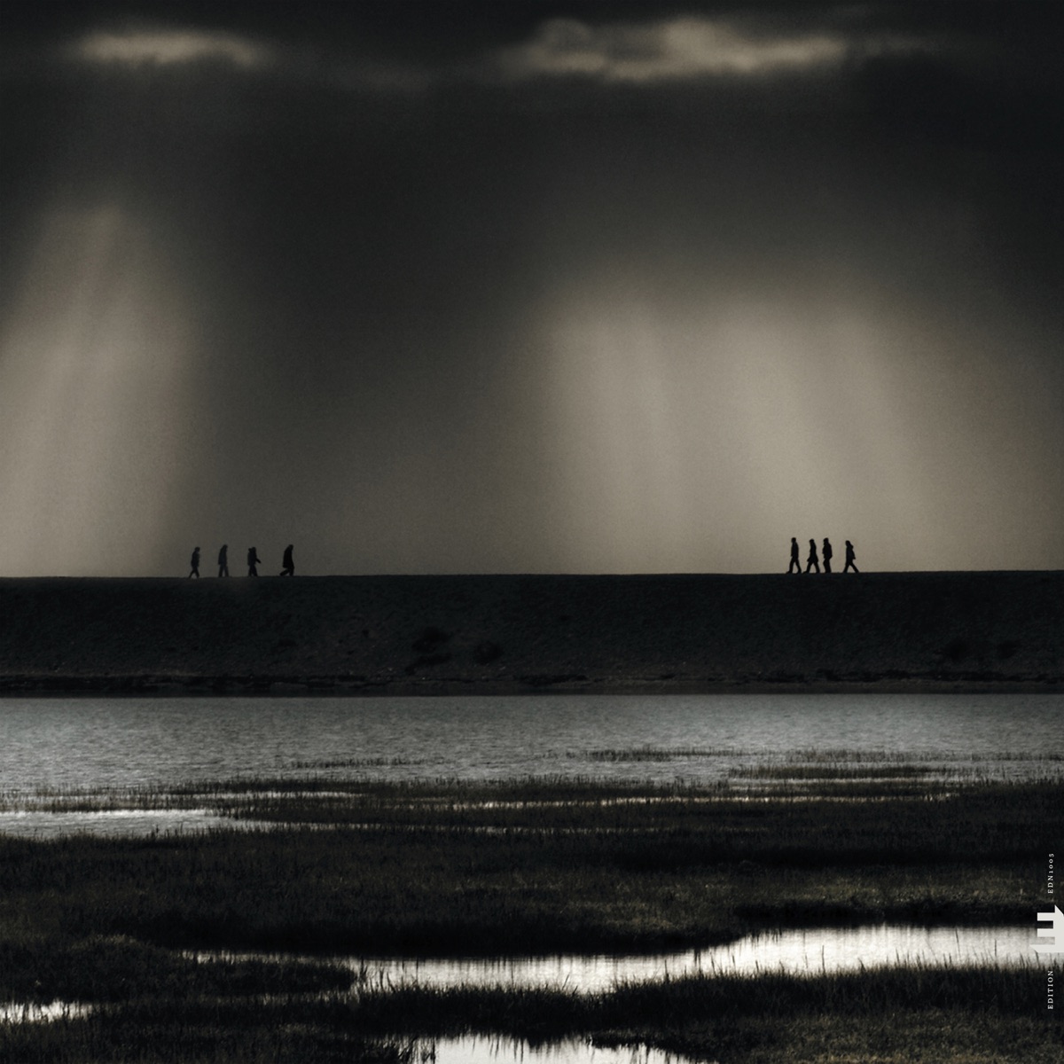 Catching Sunlight by Dave Stapleton & Lunar Saxophone Quartet album cover