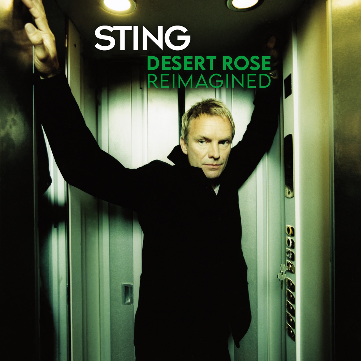 Desert Rose (Reimagined) [feat. Cheb Mami] by Sting, Bedouin, Zakes Bantwini & Darque album cover