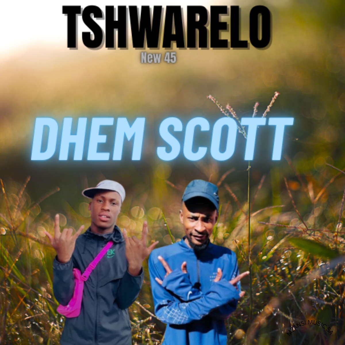 TSHWARELO NEW 45 - Single by Mzansi Music SA & DHEM SCOTT album cover
