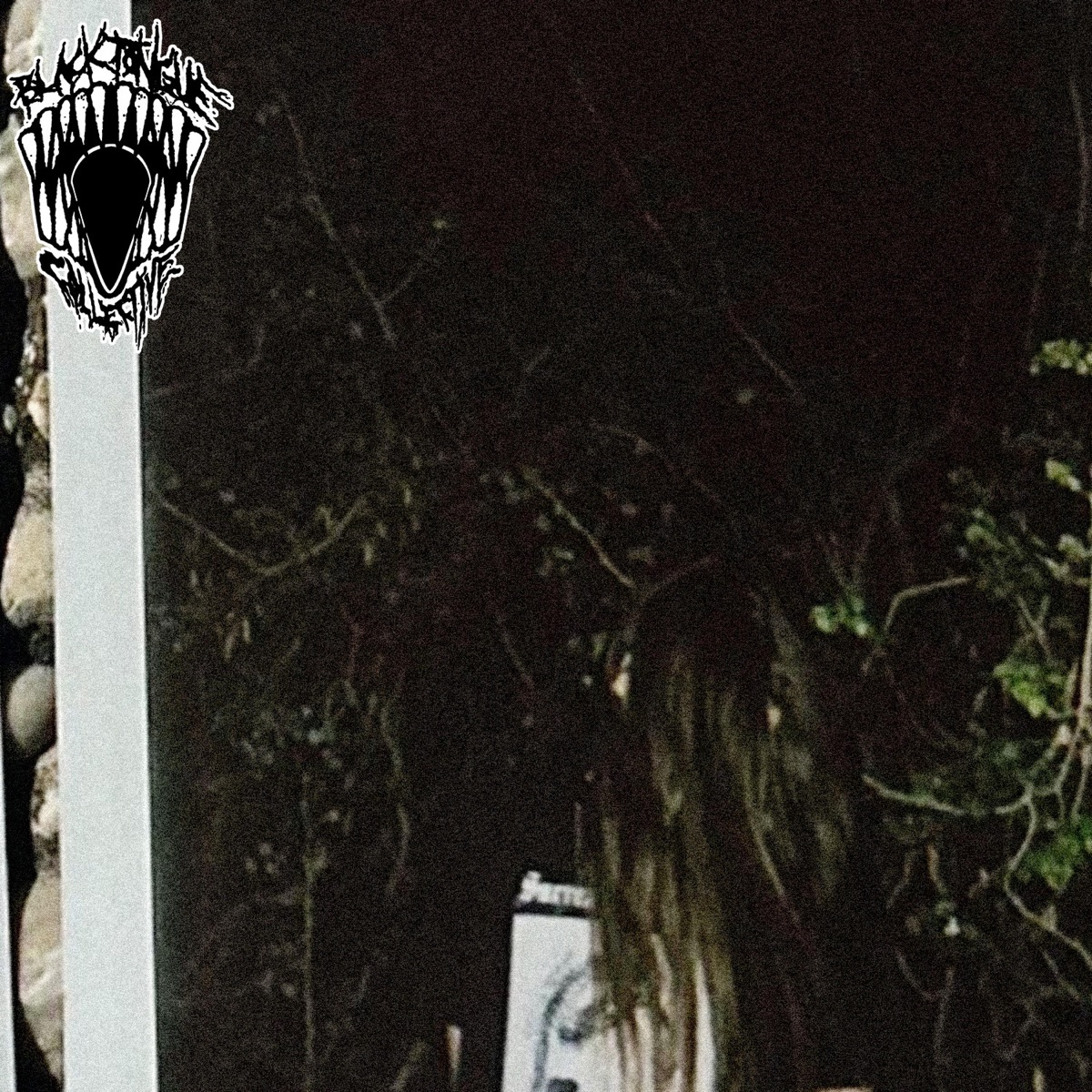 Bay Area $$$Uicide by Slain album cover