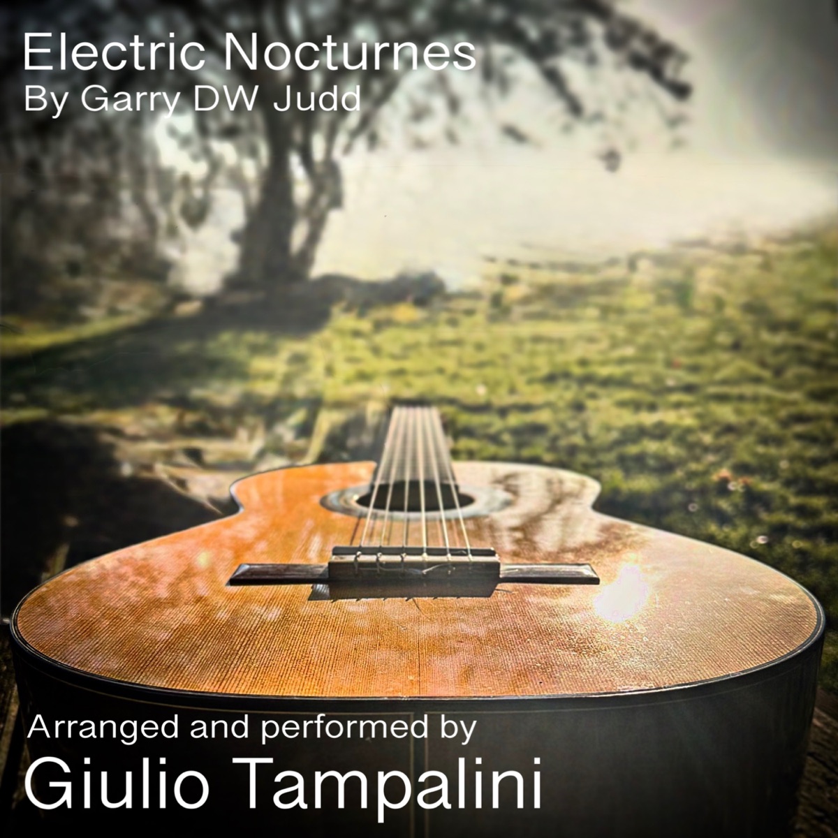 Electric Nocturne No. 47 - Guitar - Single by Giulio Tampalini & Garry DW Judd album cover