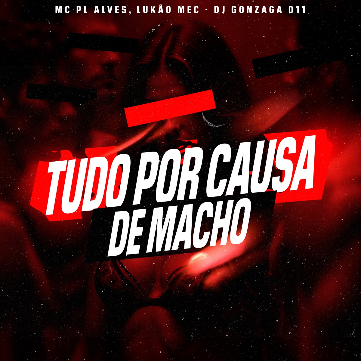 Tudo por Causa de Macho - Single by mc pl alves, Lukão Mec & dj gonzaga 011 album cover