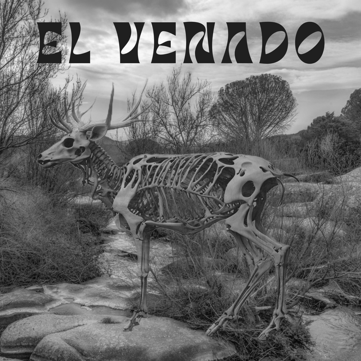 El Venado - Single by S3IS album cover