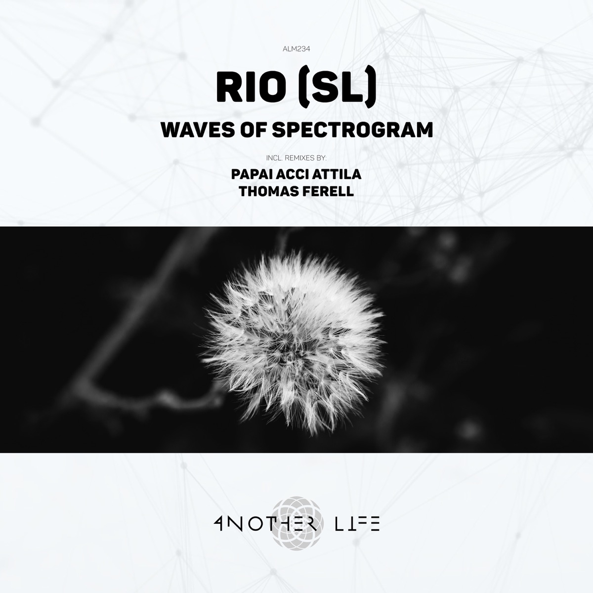 Waves of Spectrogram - Single by RIO (SL), Papai ACCI Attila & Thomas Ferell album cover