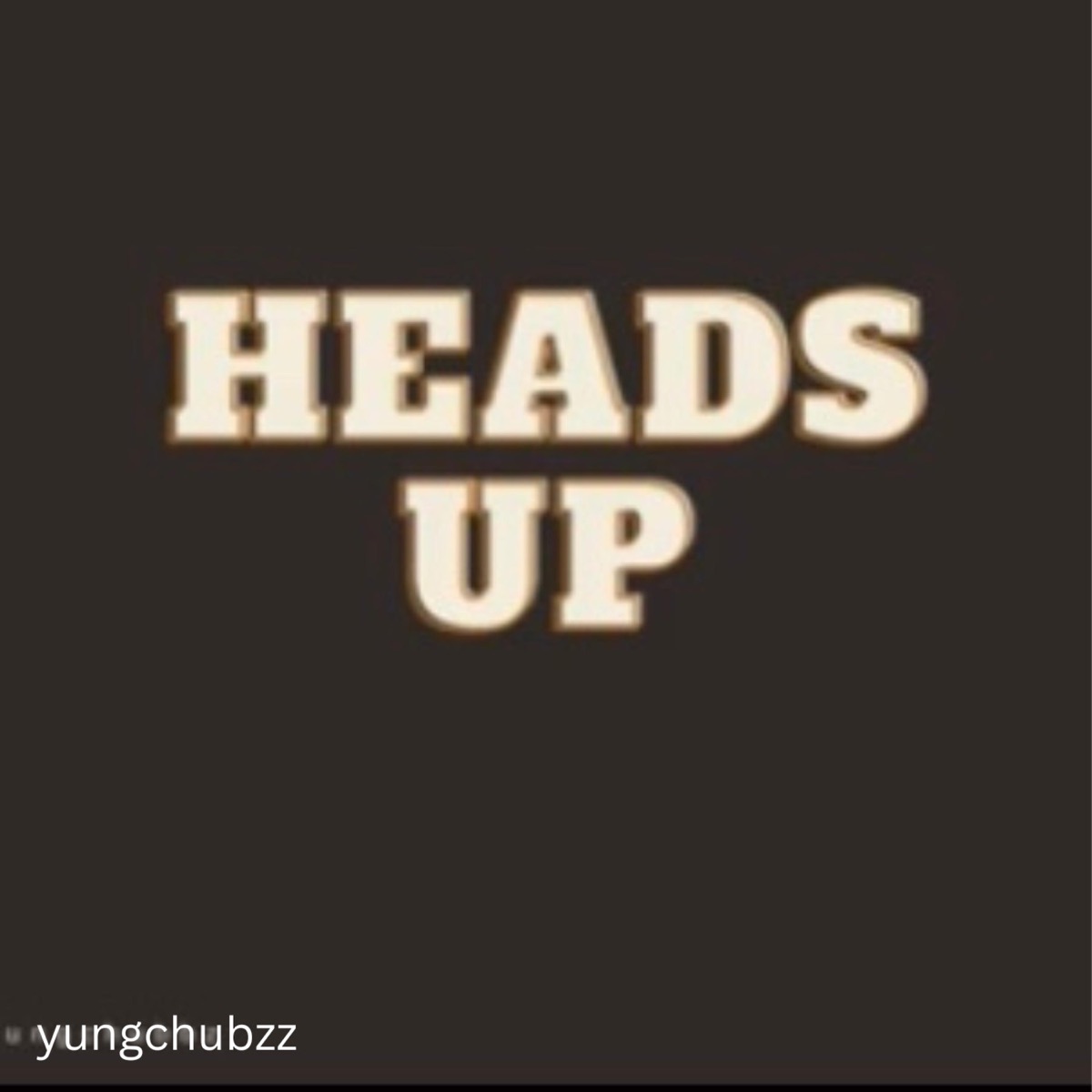 Heads Up - Single by Yungchubzz album cover