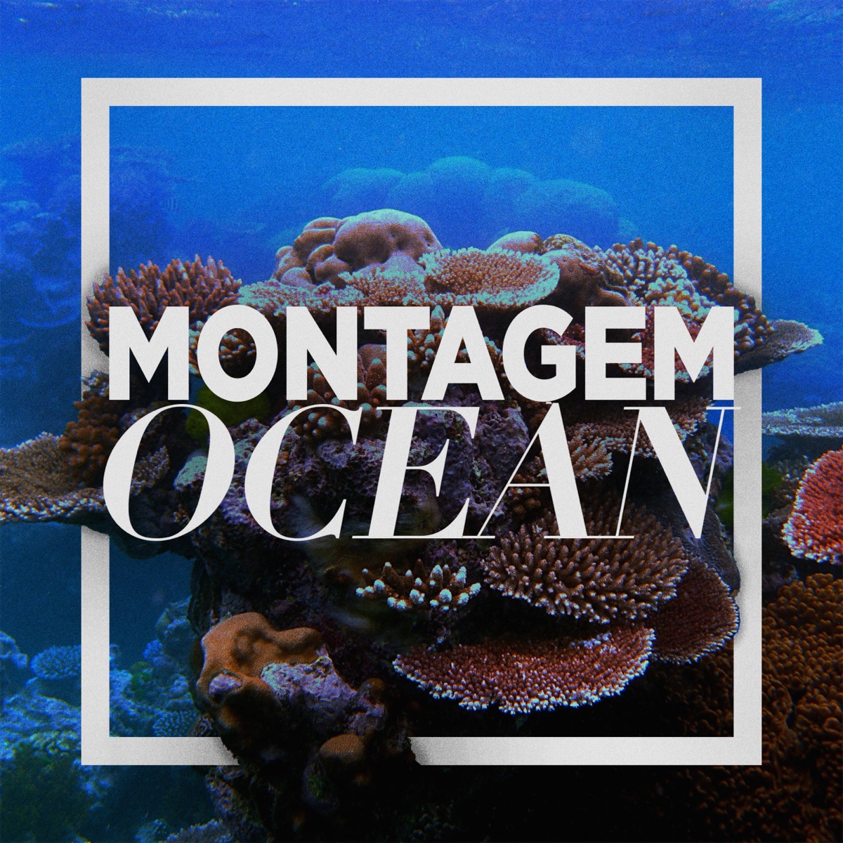 MONTAGEM OCEAN (feat. LILAAX) - Single by $hadowflex, Crazy Mano & Gurkxn album cover