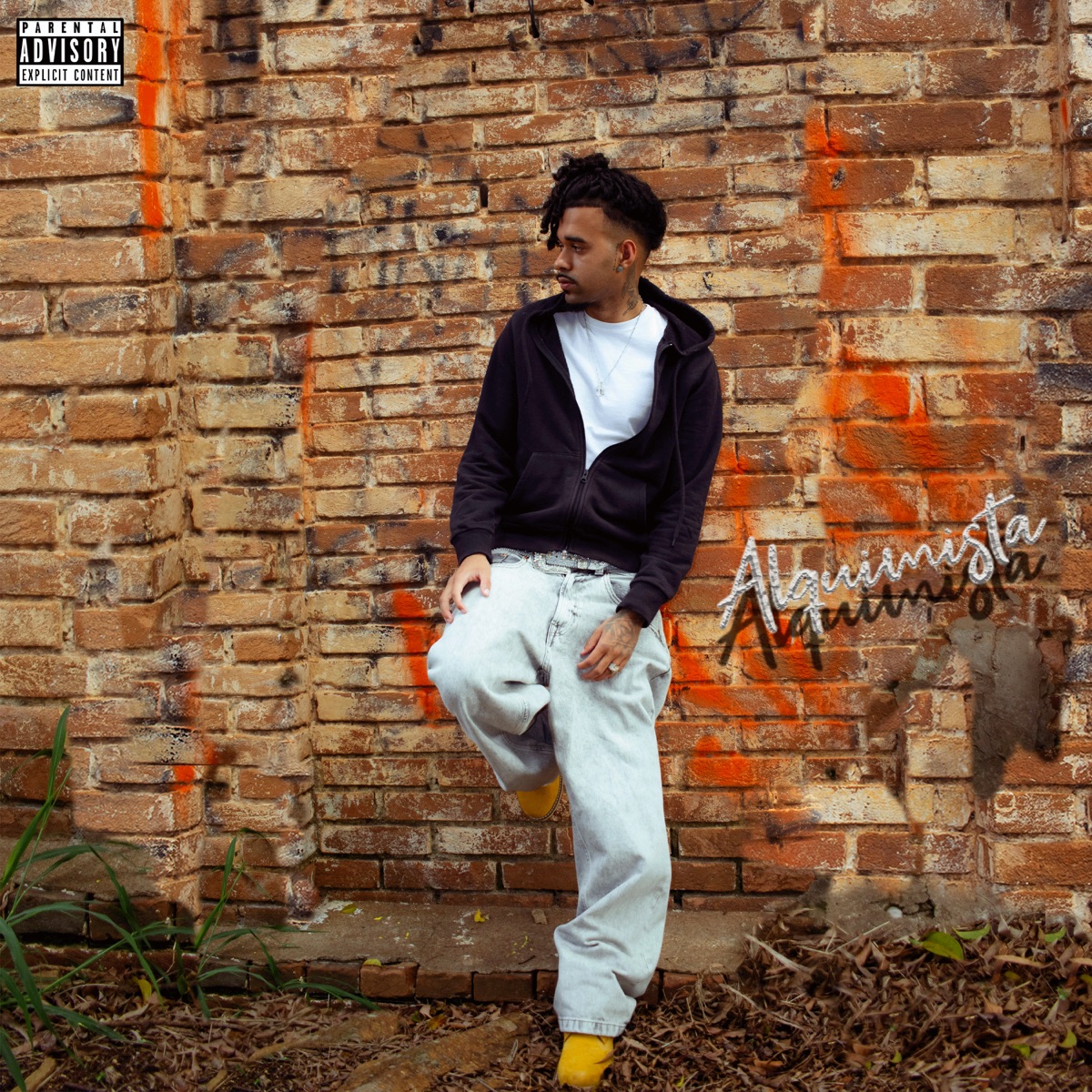 Alquimista by Zevitu album cover