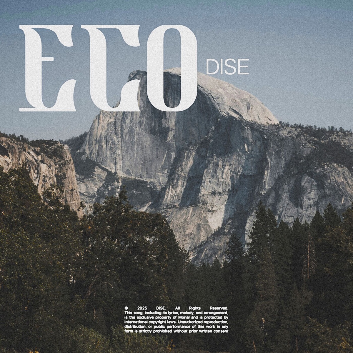 Eco - Single by Dise & Volta album cover