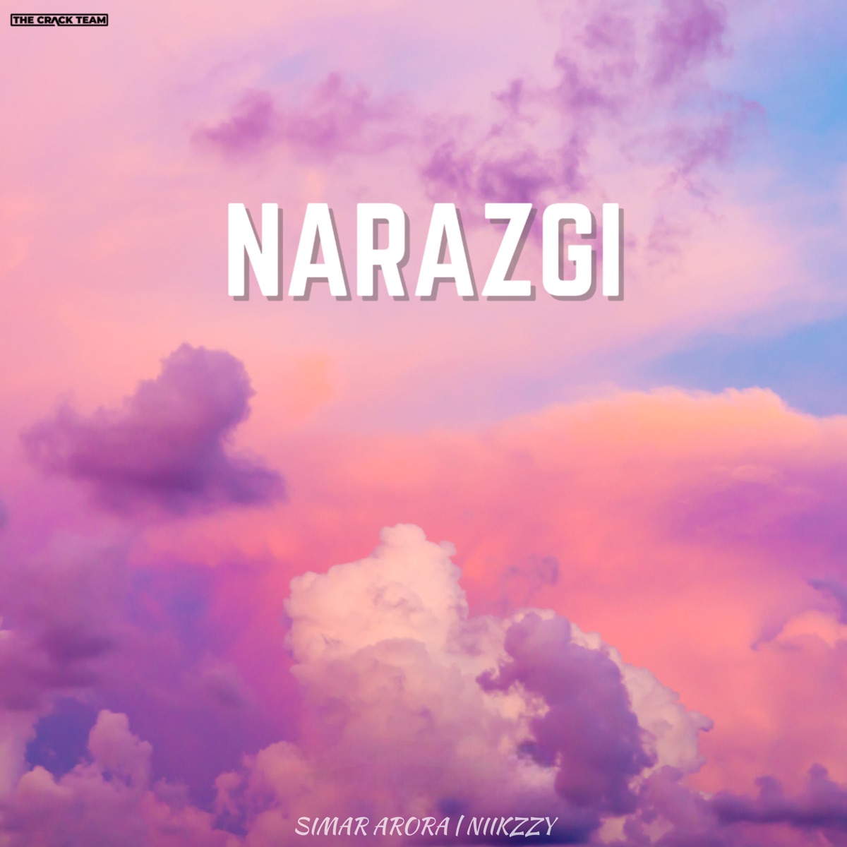 Narazgi - Single by Niikzzy & Simar Arora album cover