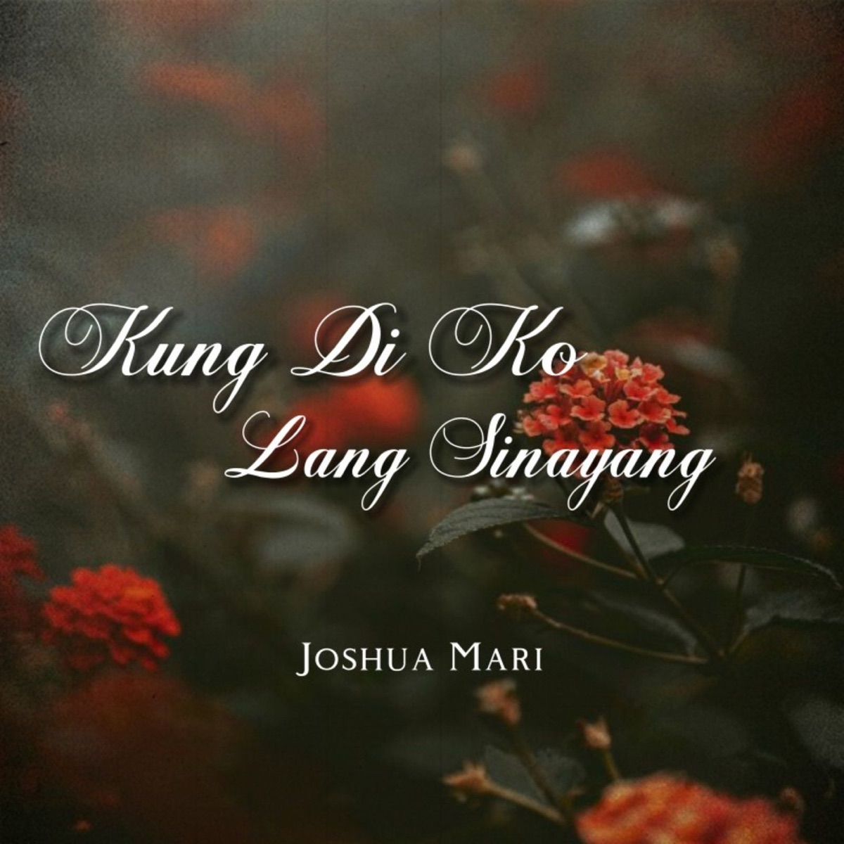 Kung Di Ko Lang Sinayang - Single by Joshua Mari album cover