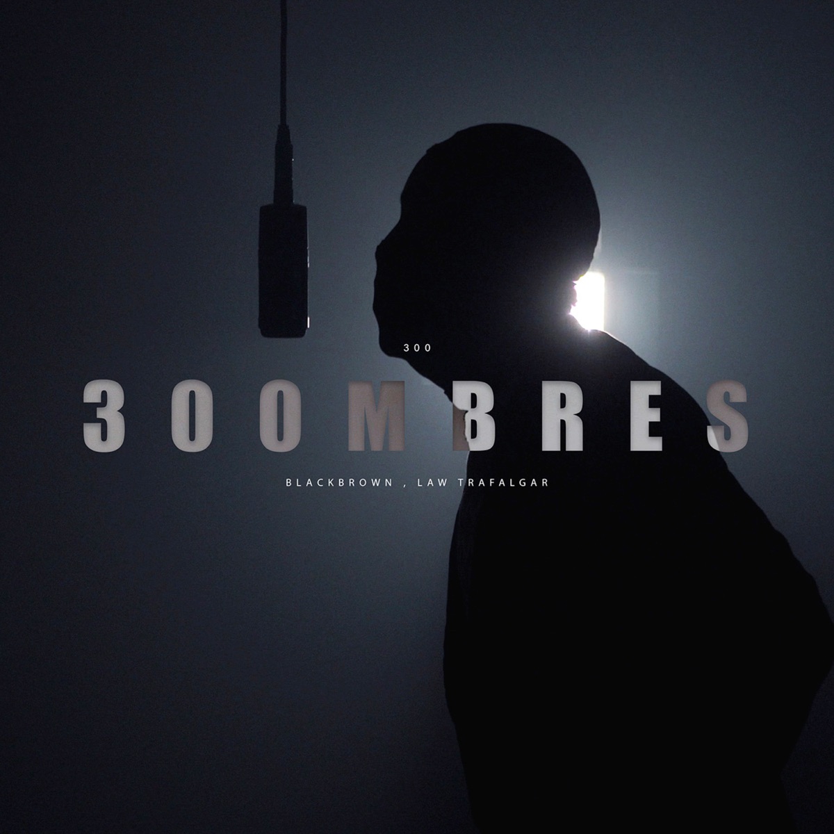 300 - Single by 300MBRES, Blackbrown & LAW TRAFALGAR album cover