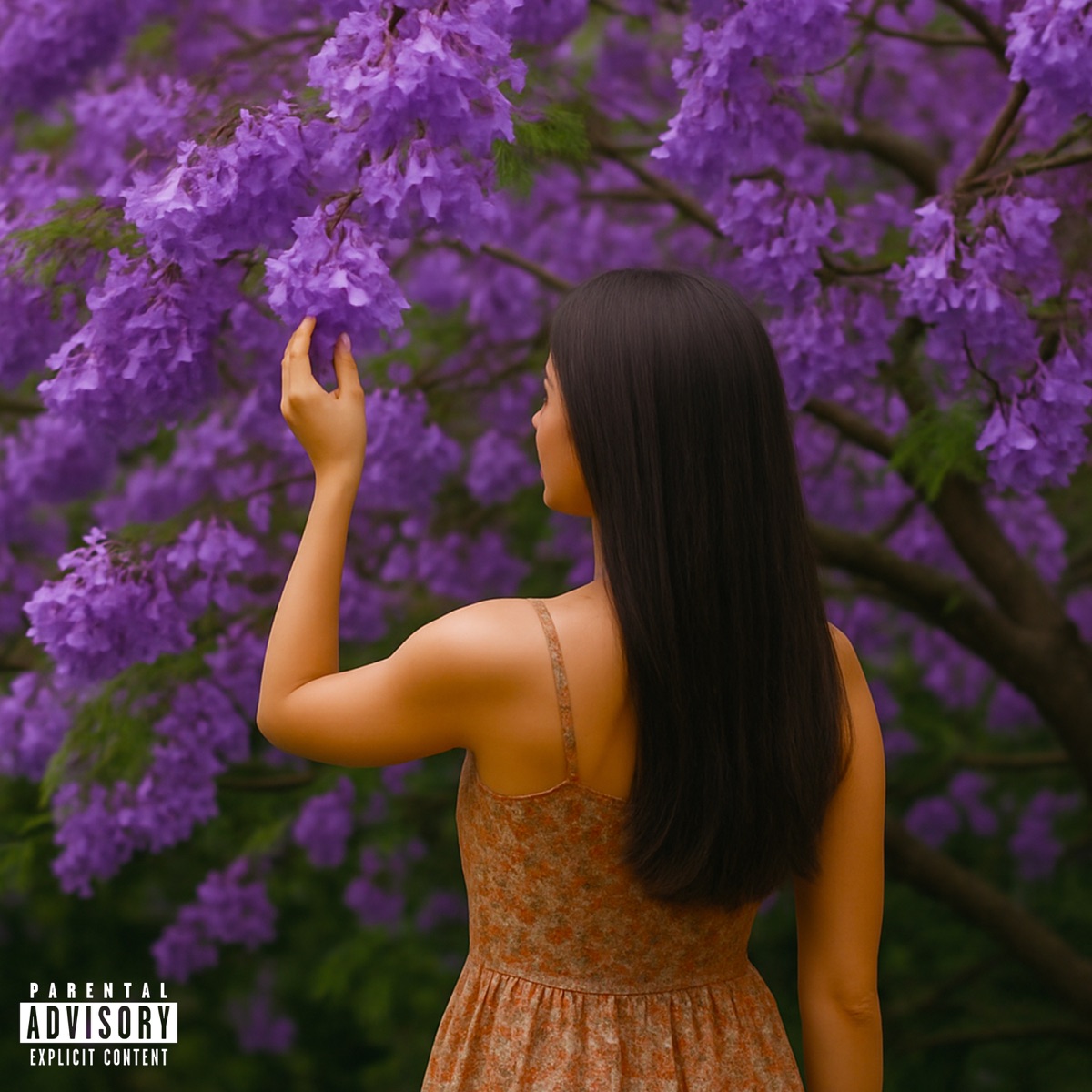 Morena Jacarandá - Single by Meddina, 2G & Lxcas092 album cover