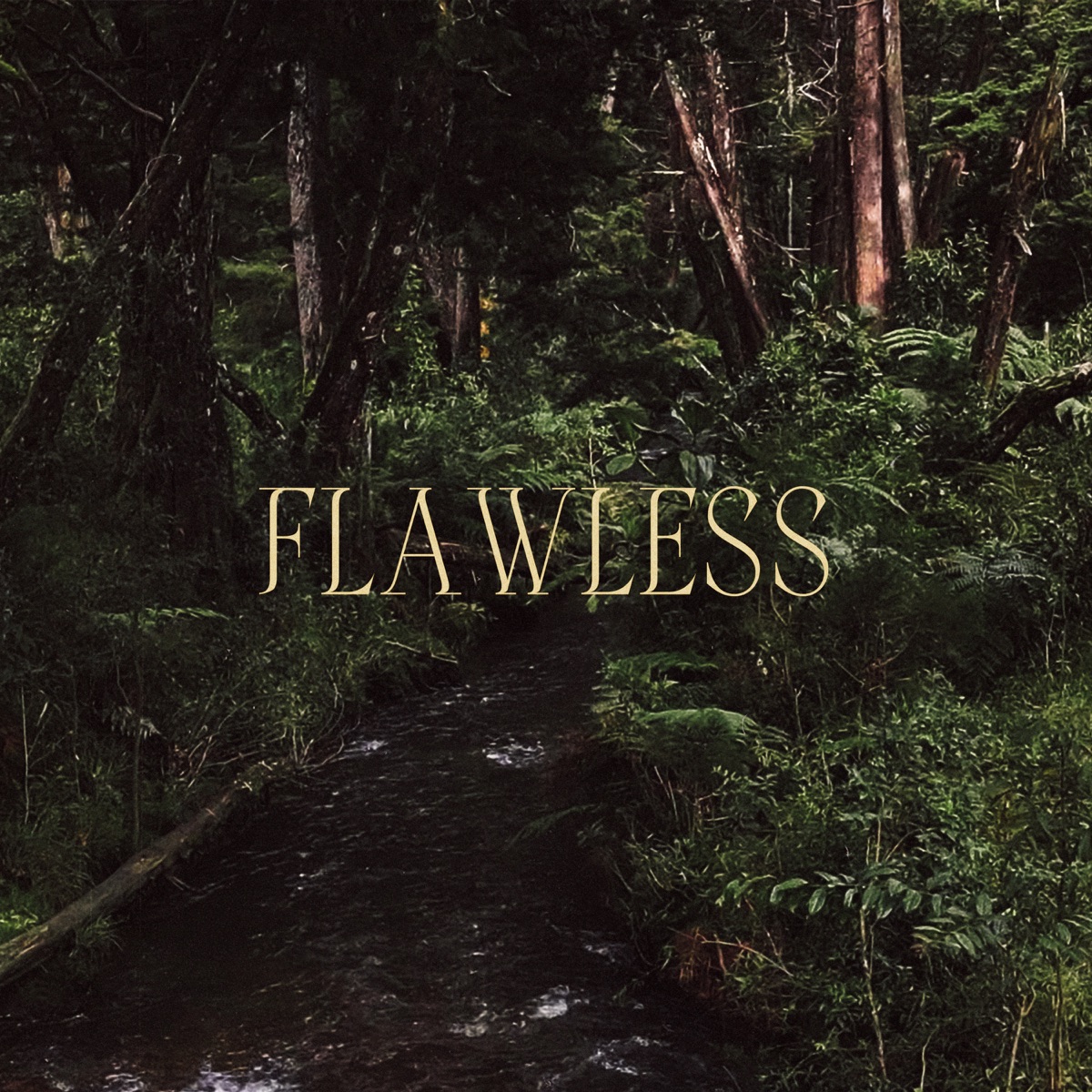 Flawless - Single by Tamezz, Skollopendra & Cheche Cole album cover