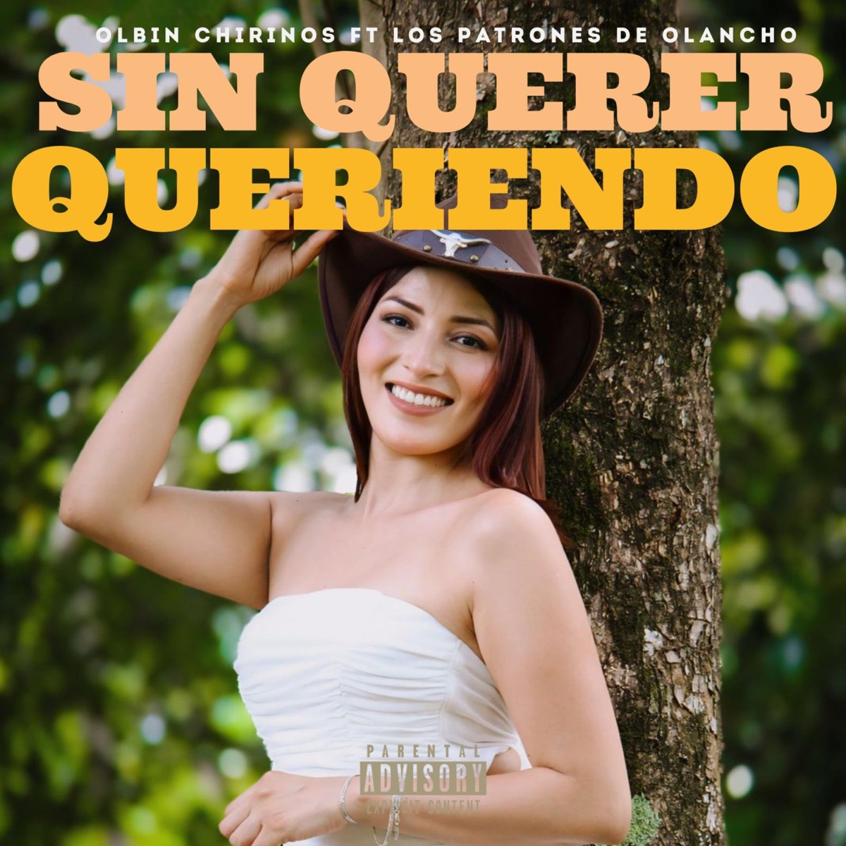 Sin Querer Queriendo (feat. Los patrones de olancho 1) - Single by Olbin Chirinos album cover