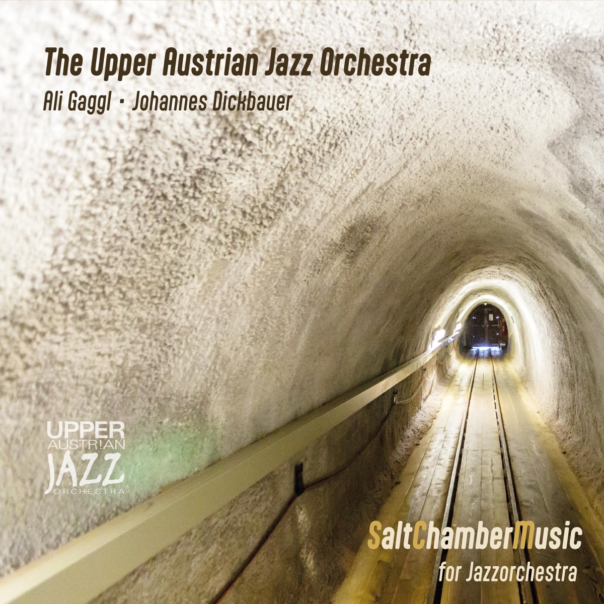 Saltchambermusic for Jazzorchestra (feat. Johannes Dickbauer) by The Upper Austrian Jazz Orchestra album cover
