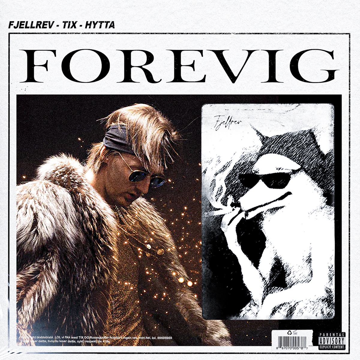 FOREVIG (med TIX) - Single by Fjellrev, TIX & Hytta album cover