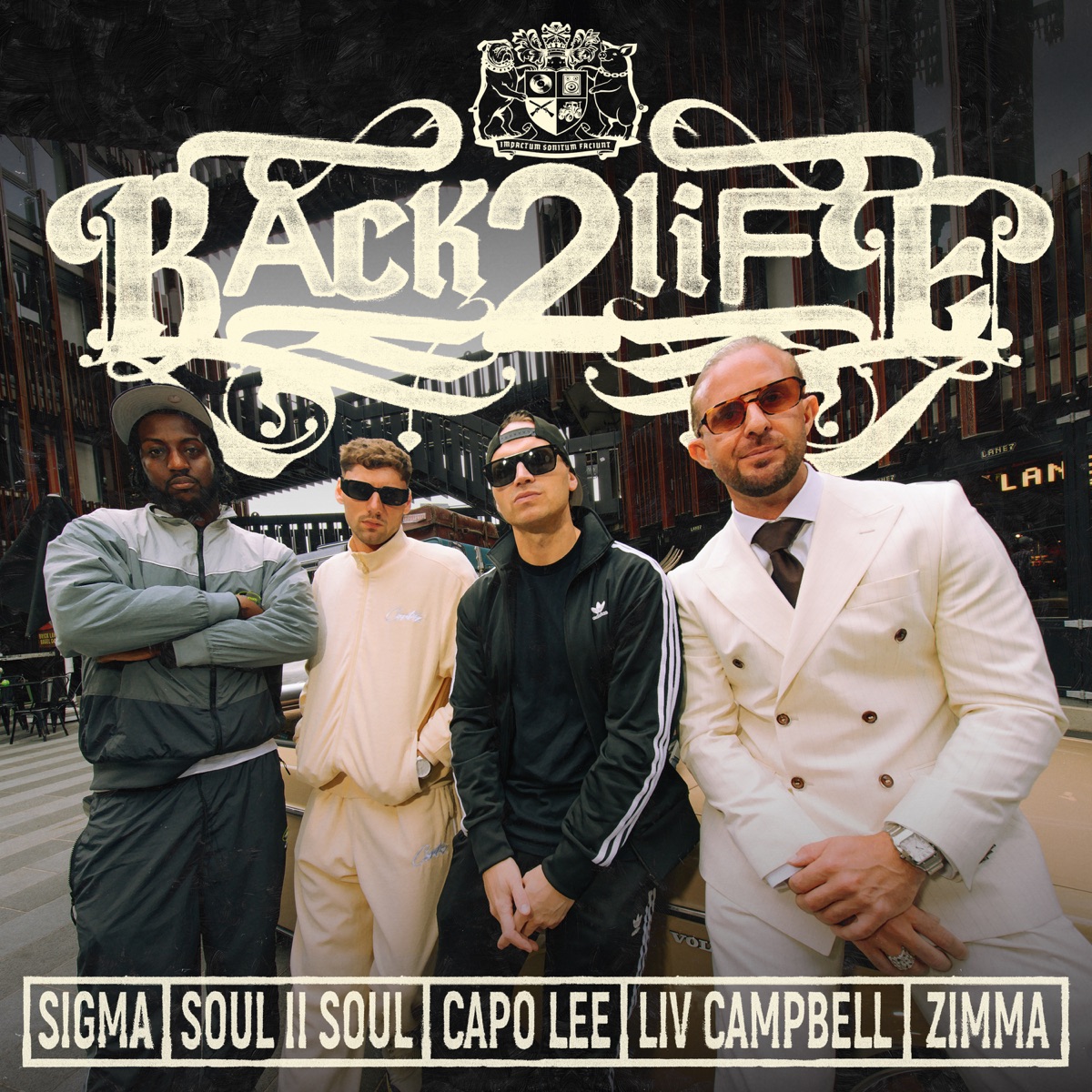 BACK 2 LIFE (feat. Liv Campbell) - Single by Sigma, Soul II Soul, Capo Lee & Zimma album cover