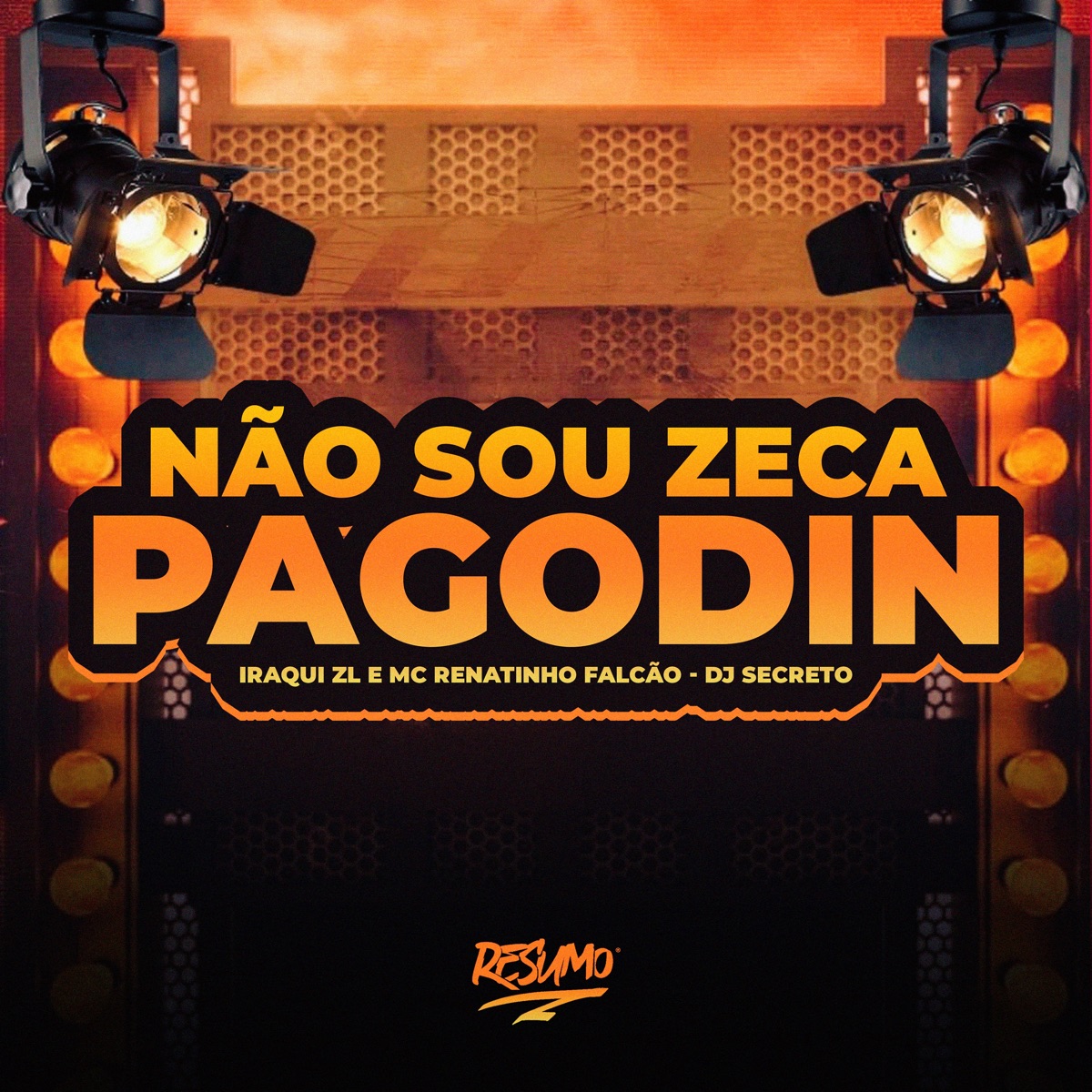Não Sou Zeca Pagodin - Single by Resumo Produtora, DJ Secreto, Iraqui ZL & MC Renatinho Falcão album cover