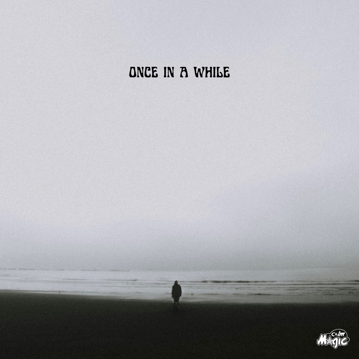 Once in a while - Single by h00t & Brø album cover