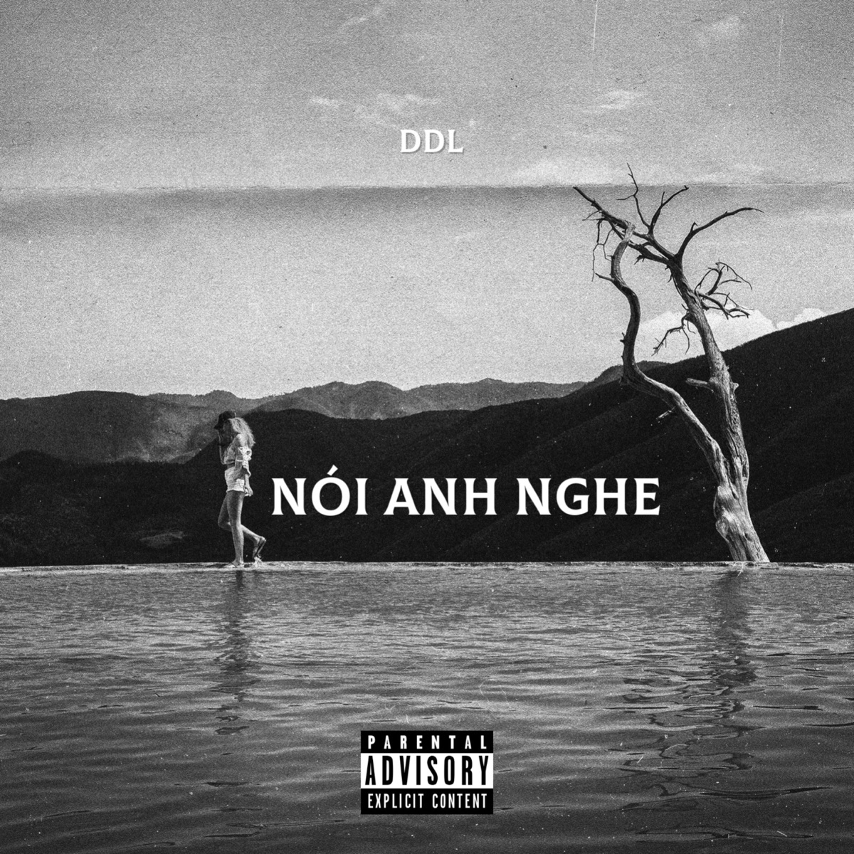 NÓI ANH NGHE - Single by DDL album cover